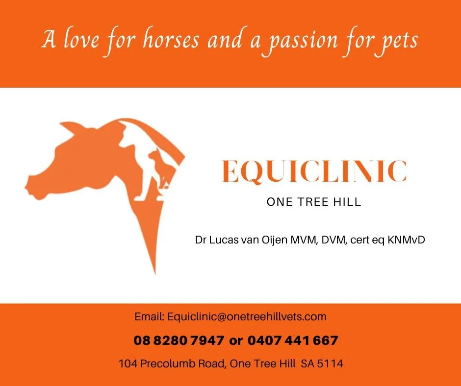 A heart for horses and a passion for pets. Offering a wide range of veterinary care for
mixed animals.