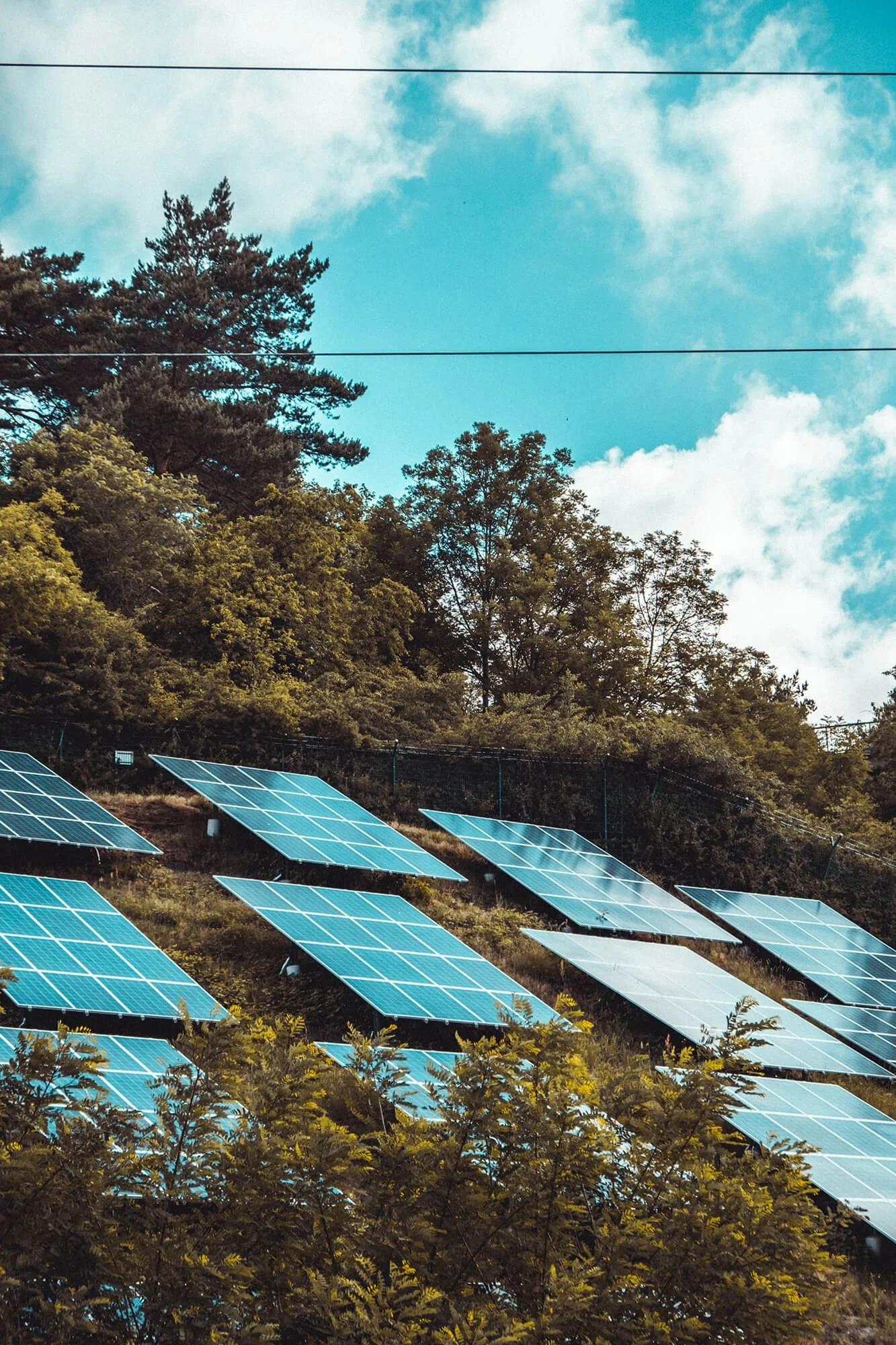 Solar farm panels angled to face the sun