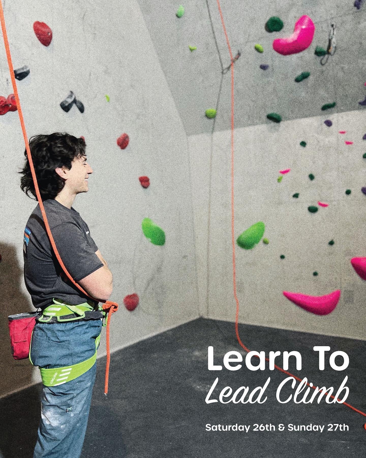 👋 Lead course alert‼️
We&rsquo;ve got a couple spots left in our lead course this weekend! Join Conor from 6-8pm as he guides you through all the ins-and-outs of lead climbing and belaying. 
Go on, take your roped-endeavours to the next level! 
🫵👍