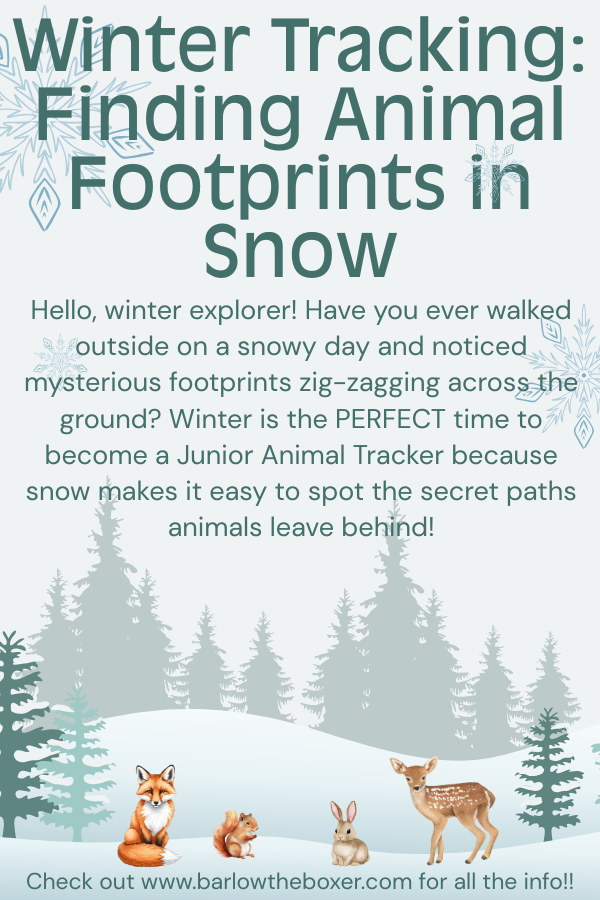 12|6|25 - Winter Tracking: Finding Animal Footprints in Snow!