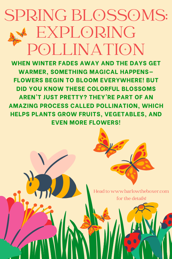 4|25|26 - Spring Blossoms: Exploring Pollination!