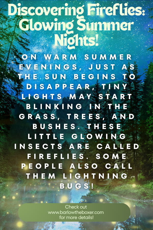 6|20|26 - Discovering Fireflies: Glowing Summer Nights!