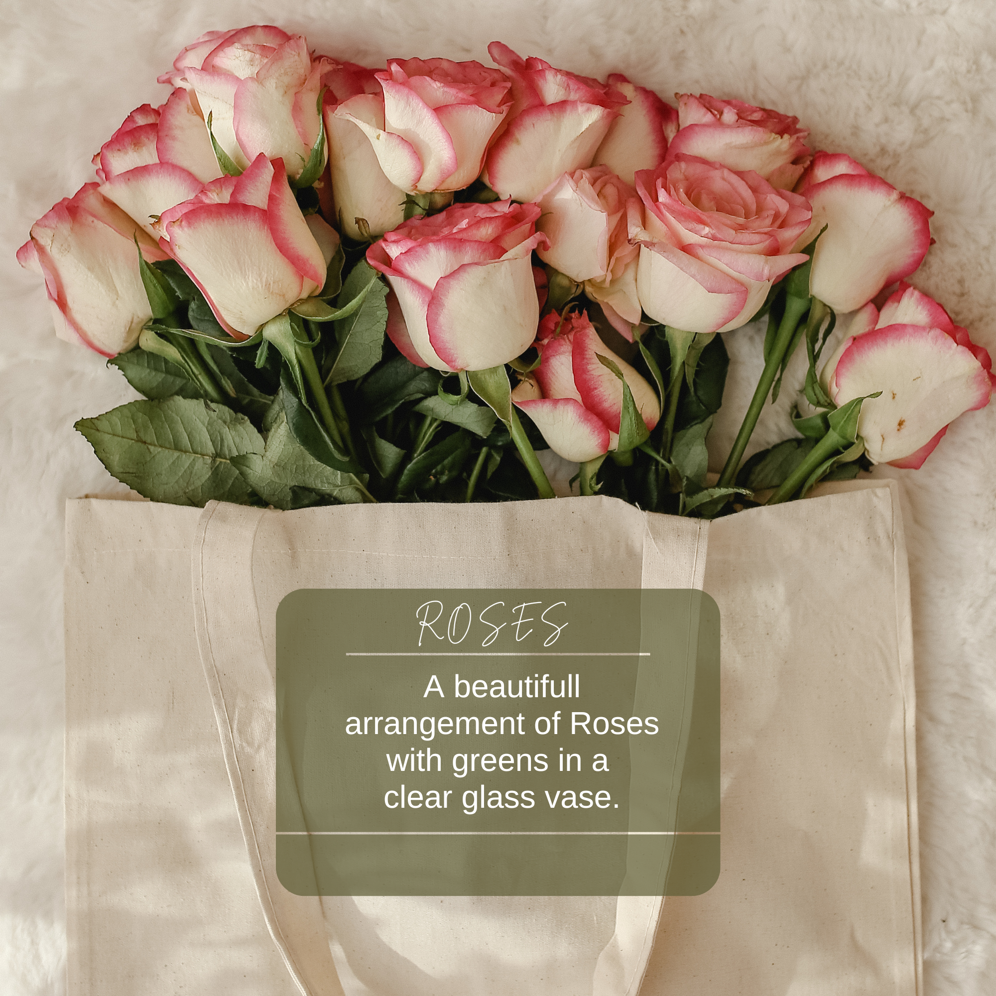 Roses Only/ 1 Dozen