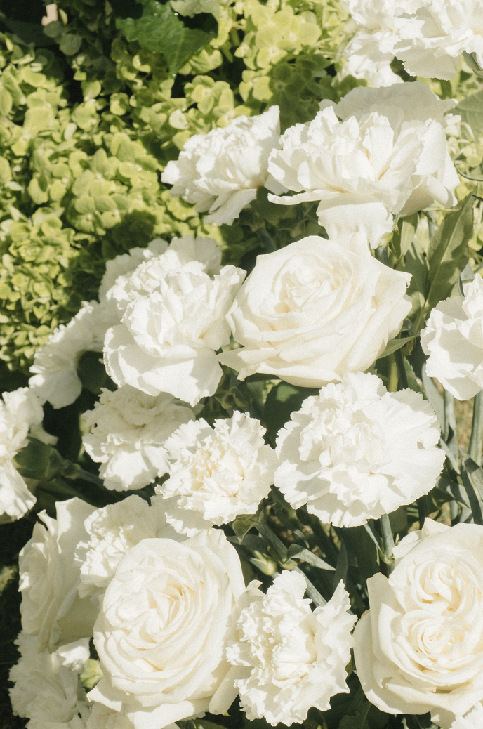 Screen Shot 2025-03-24 at 7.43.26 PM.png