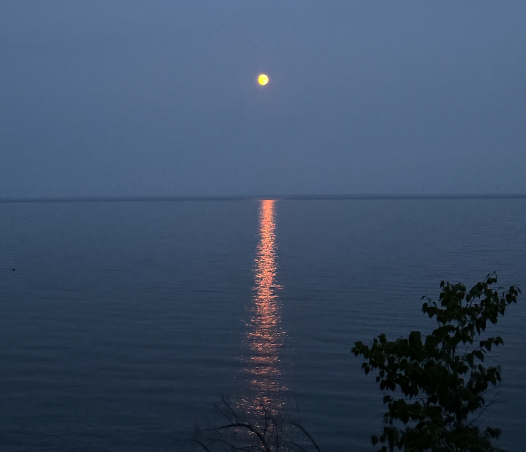 Moon~Day Vibes - Yoga, Etcetera at Modus Locus ~  In person + Online
