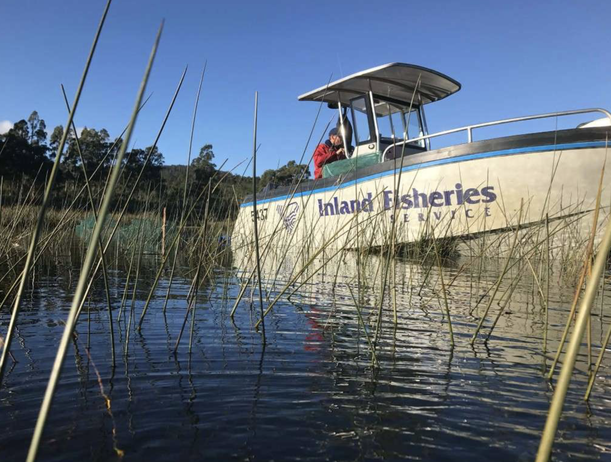 Wanted: Freshwater Biologist?