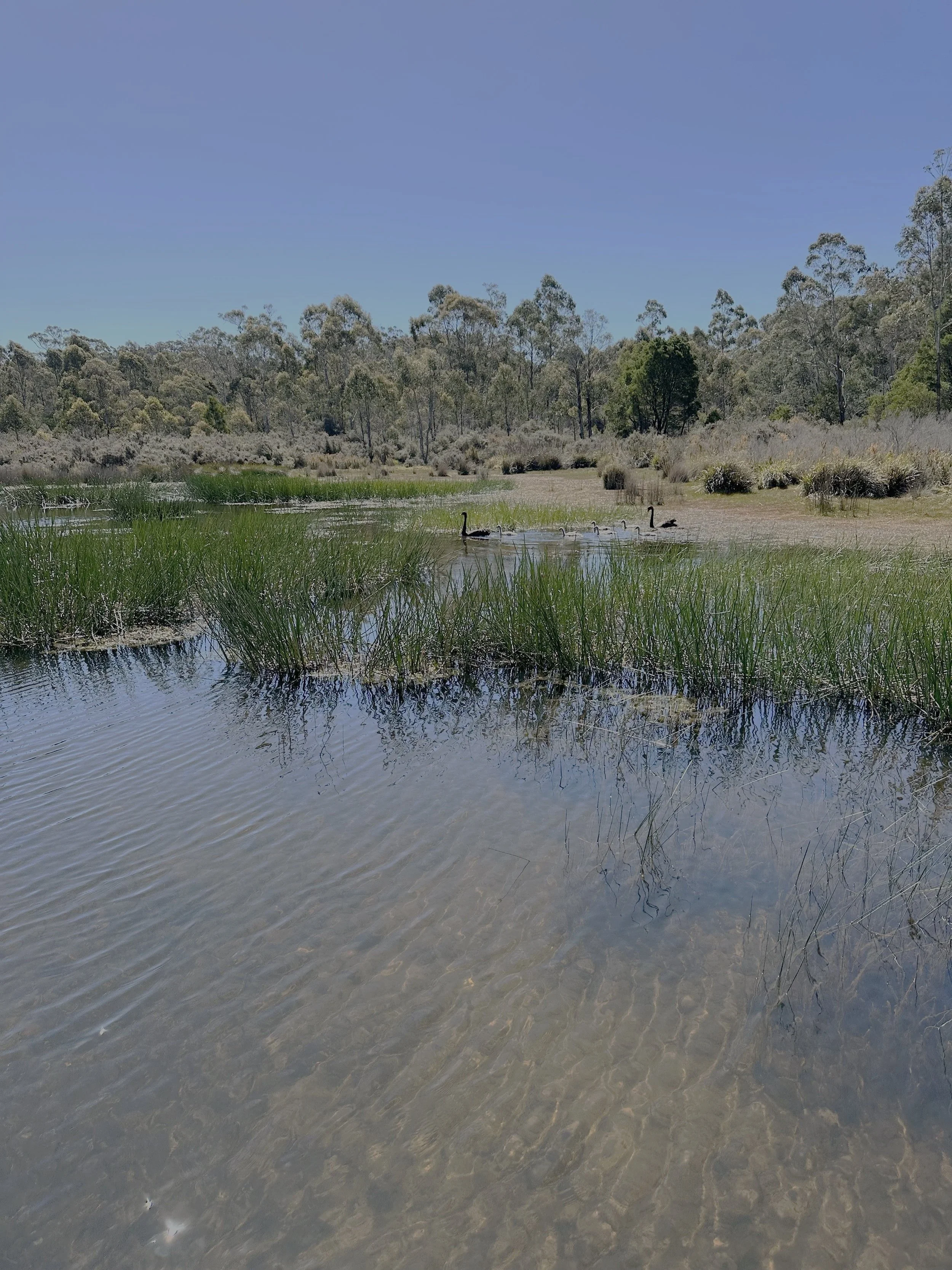 March General Meeting Communique  