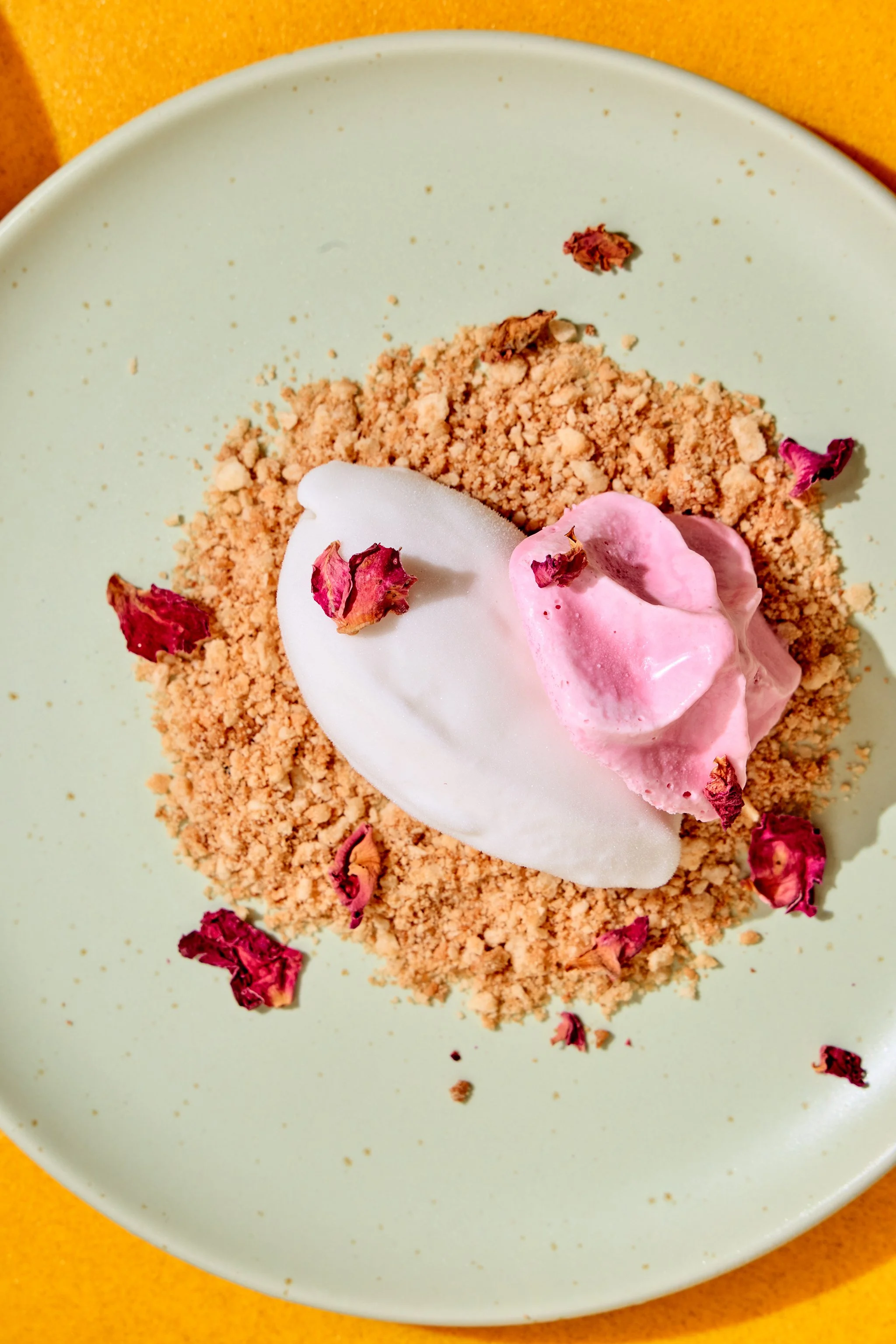 SWEETIES_BRIAN SAMUELS PHOTOGRAPHY_FEBRUARY 2026-IMG_1331 copy.jpg