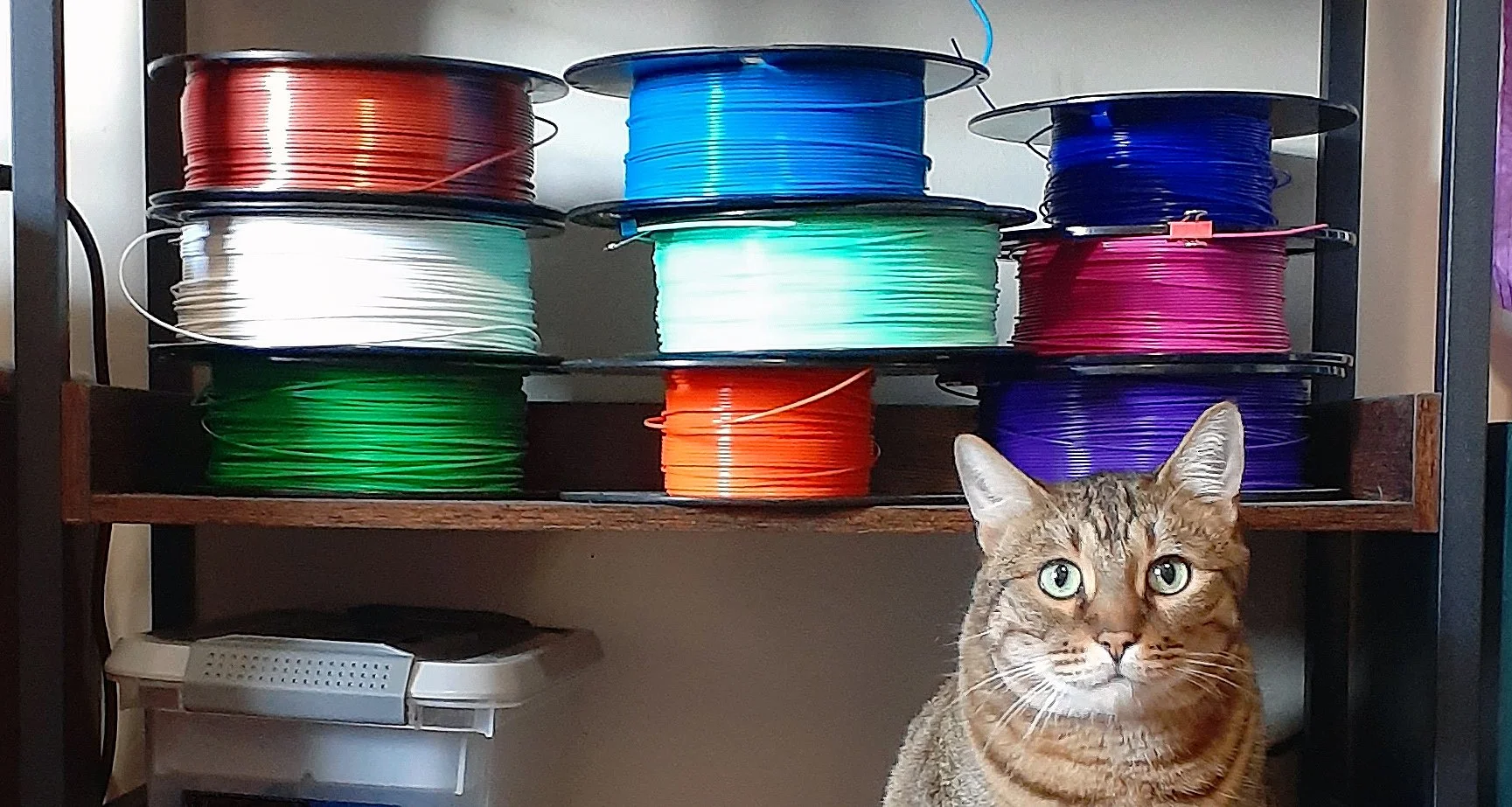 3D Printing Filament Oakville.jpg