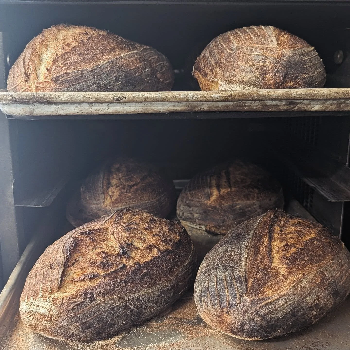 Brown crusty sourdough, baked everyday. 
Join us for a plate 🥂