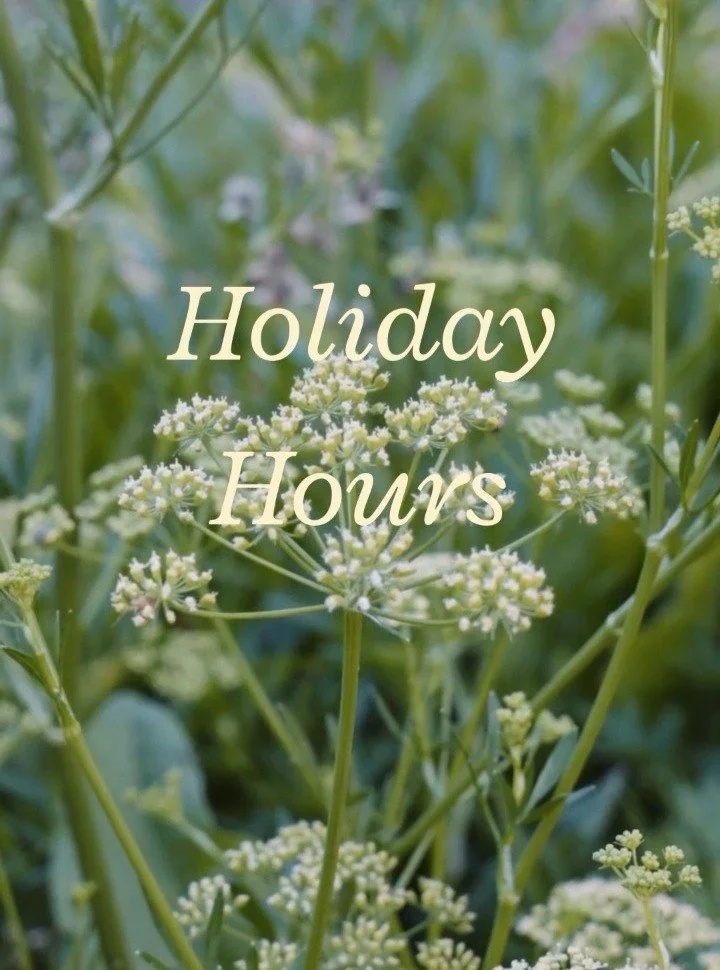 Holidays in South Freo at Madalena's 🌻🌞
We are excited to announce additional opening days in December! 
Join us on Monday, 29th, and Tuesday, 30th for an evening dinner, as we prepare for our New Year&rsquo;s Eve Dinner, which is available for res