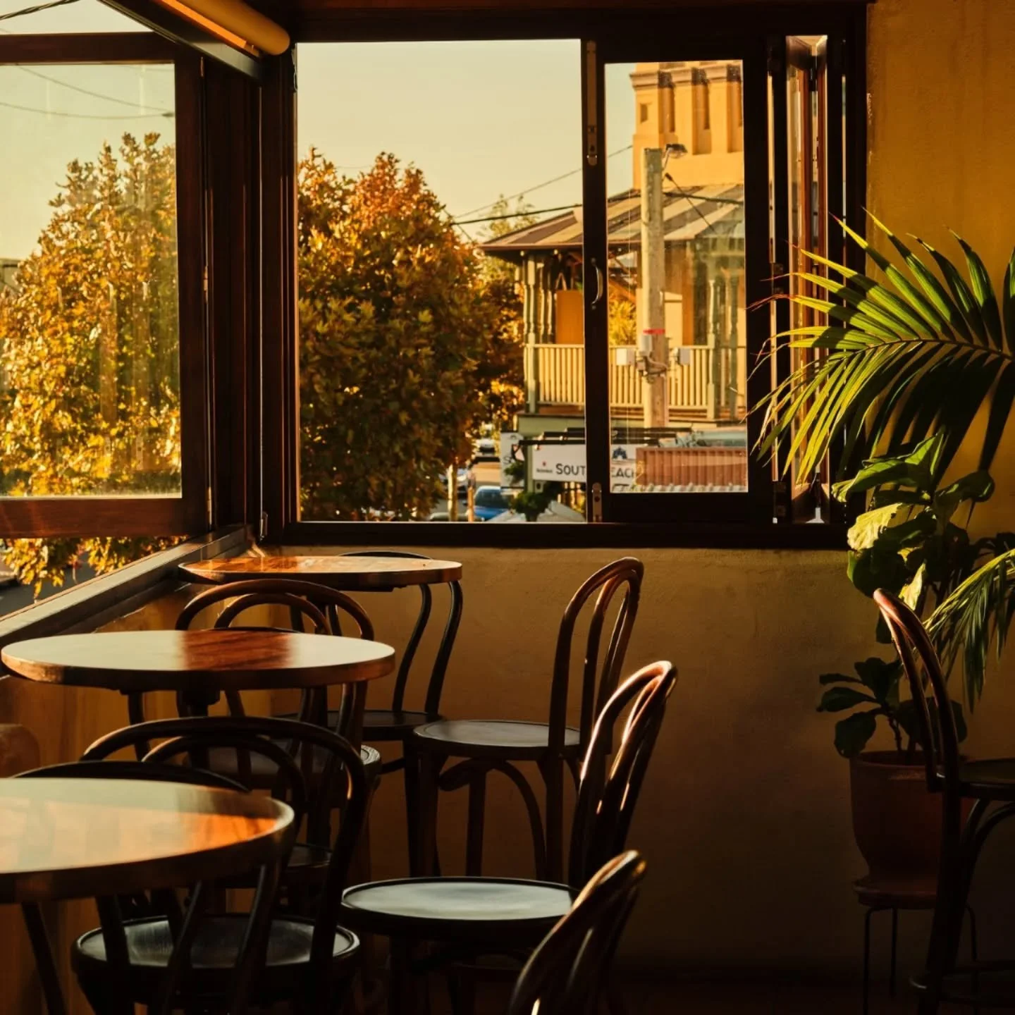 Upstairs for a golden afternoon of wine &amp; oysters ☀️
Walk-ins welcome all weekend.