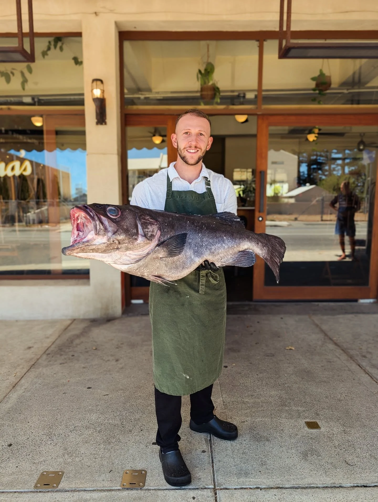Chef Filippo showing off an absolute unit of a Hapuka, fresh from Leigh Fishing in beautiful NZ! 🇳🇿🌊

Running the numbers, Filippo has expertly broken this giant down into 100 beautiful portions, ready to be plated up this weekend.

Quick note on 