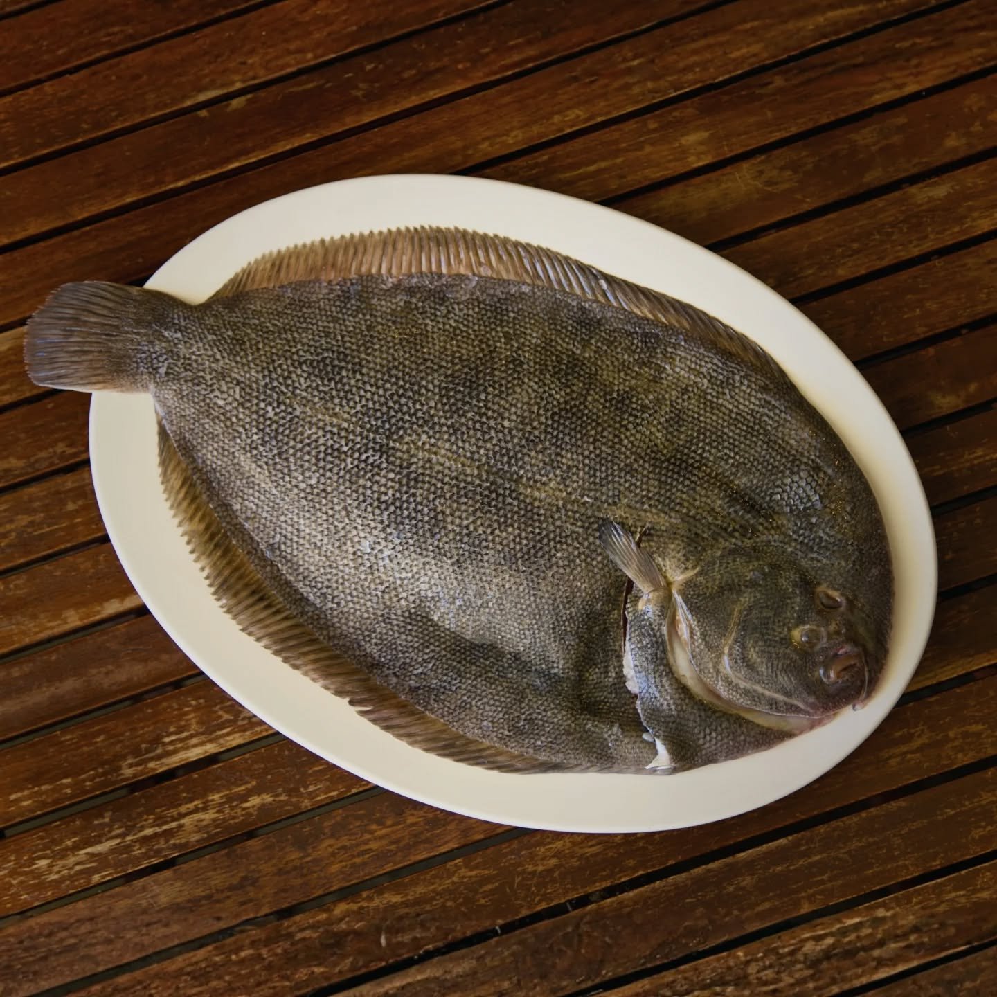 We&rsquo;ve just landed an absolute unit of a Turbot. It&rsquo;s rich, buttery and exactly what you want in the middle of the table.