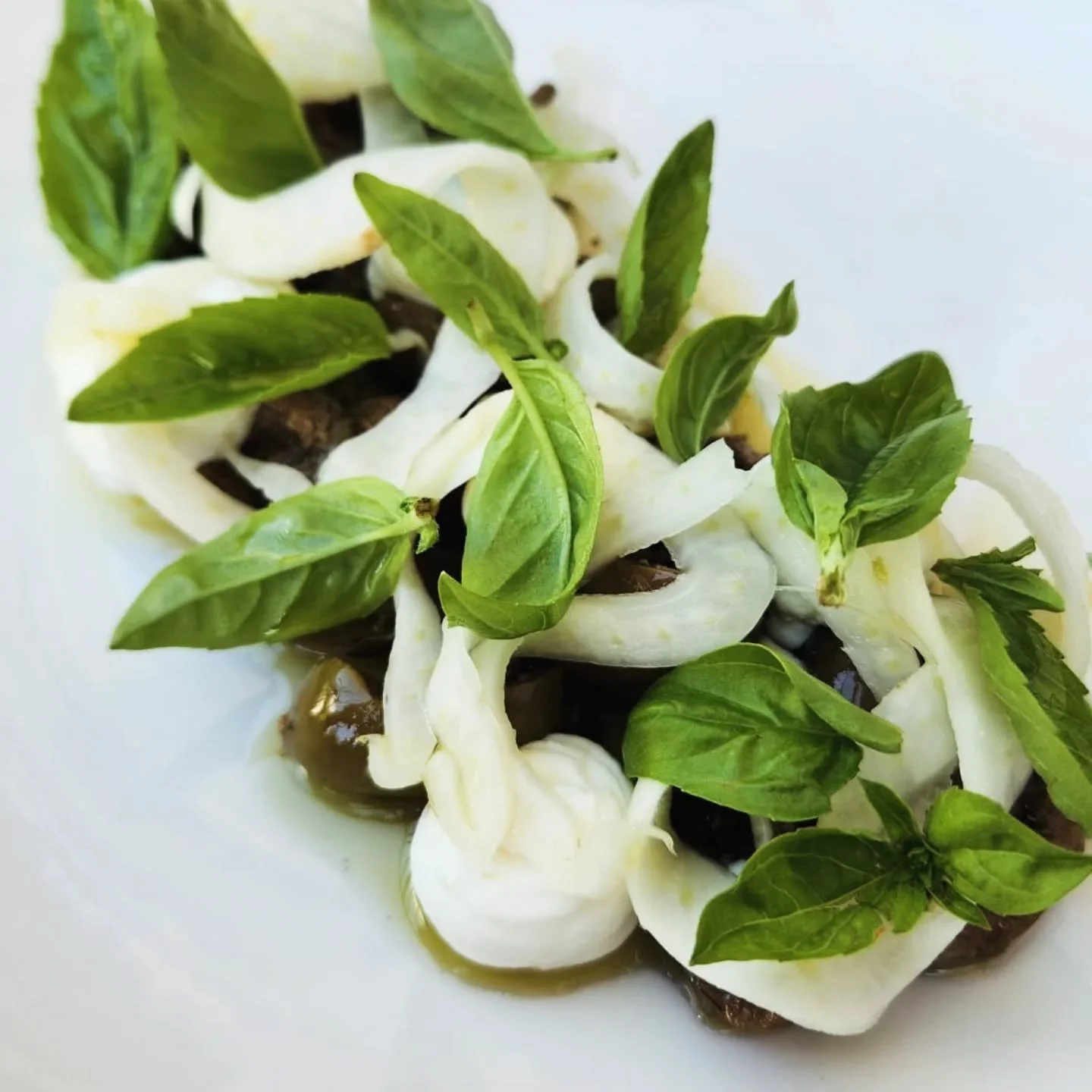 New plate ✨ 

Crushed olives, ricotta, fennel and basil - our take on 'schiacciate', a seasonal dish at Madas.

Adam's been picking jumbo kalamata olives from our landlord's house for three years now; her nonna brought the seeds over from Calabria 70