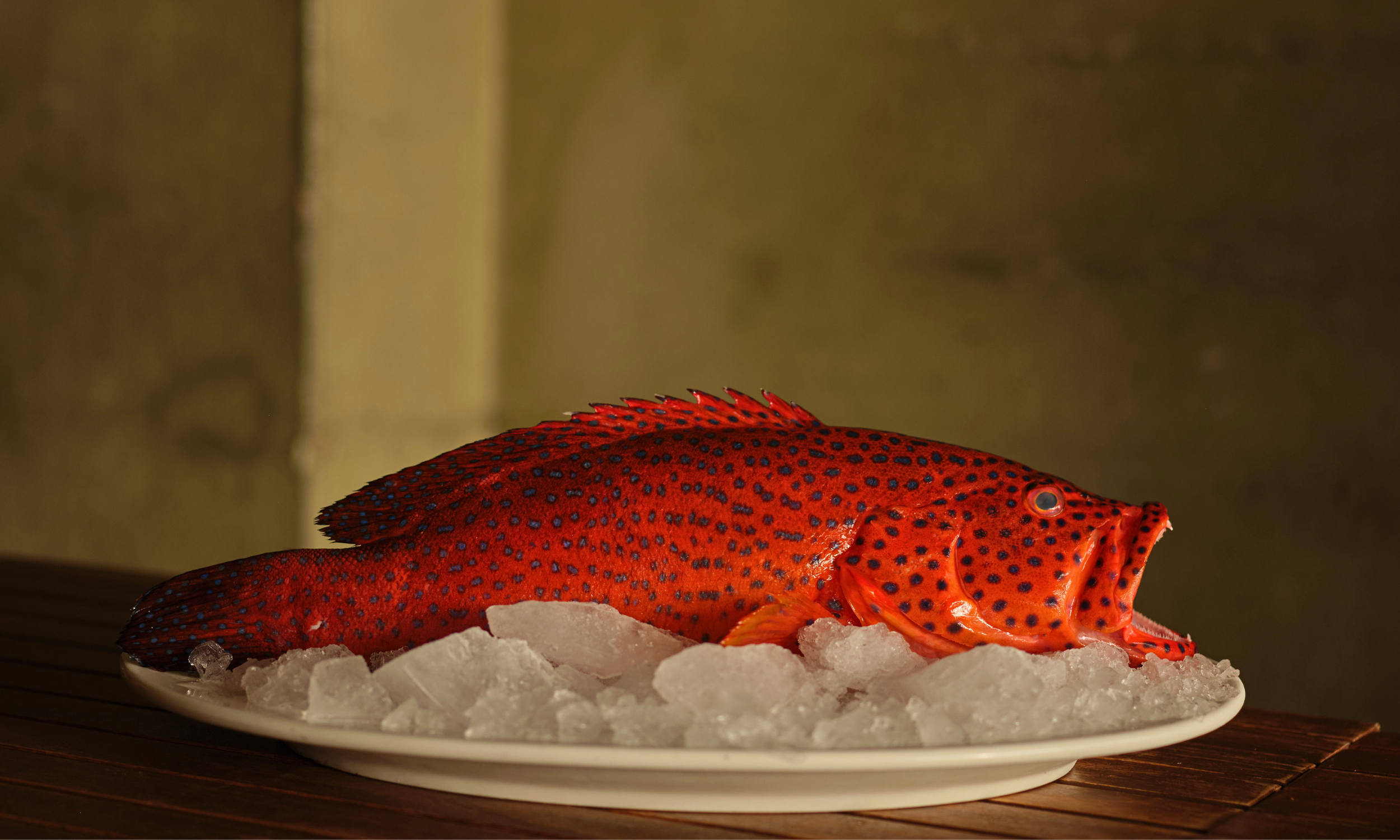 Untitled (2500 x 1500 px) (1).png