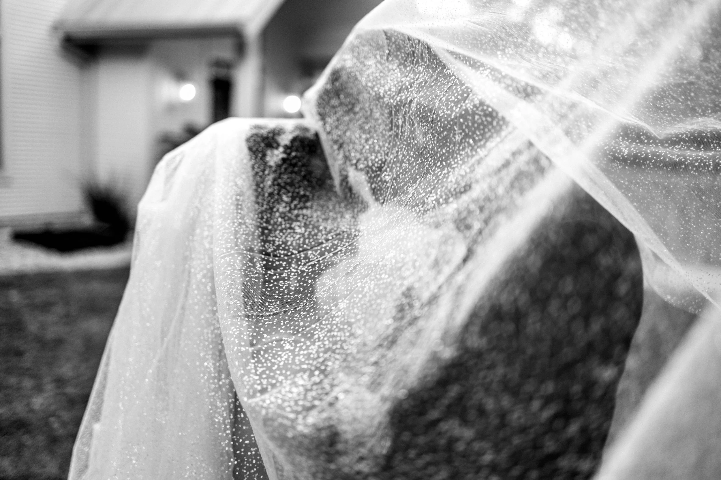 Close-up of a black and white dog covered in a clear plastic sheet with water droplets, outdoors at night with blurred building lights in the background.