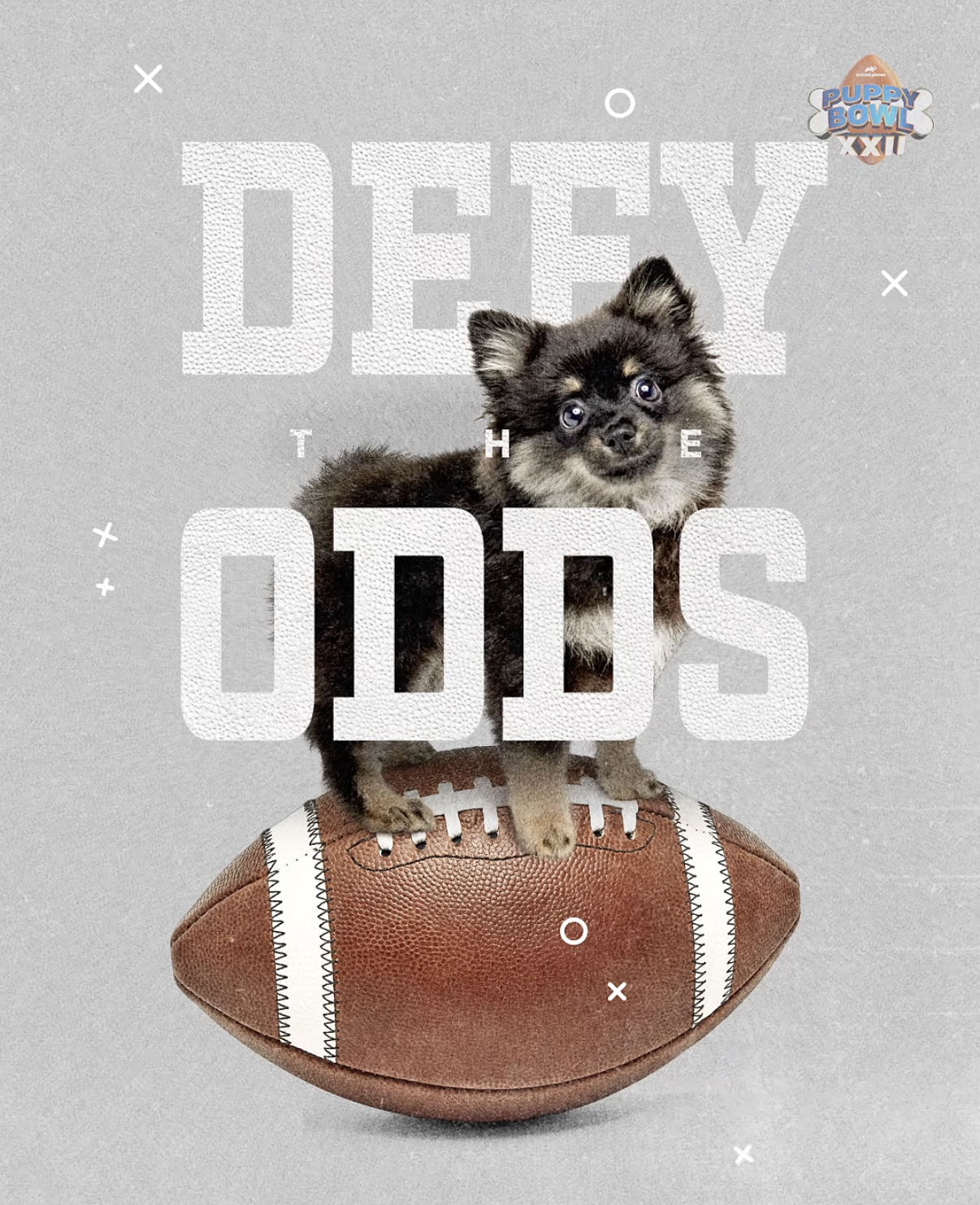 Screenshot 2026-02-01 at 3.42.34 PM.png