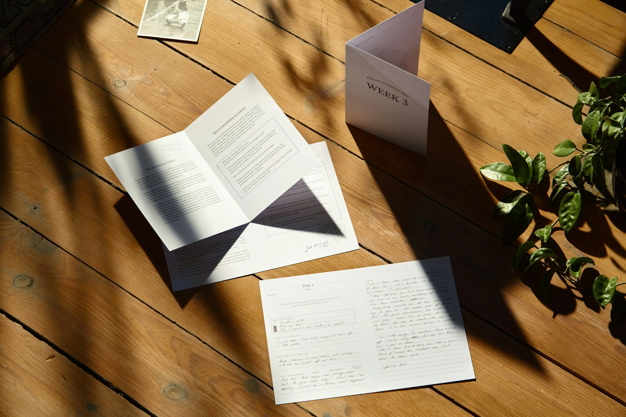 Letters to Grief : A community ritual
