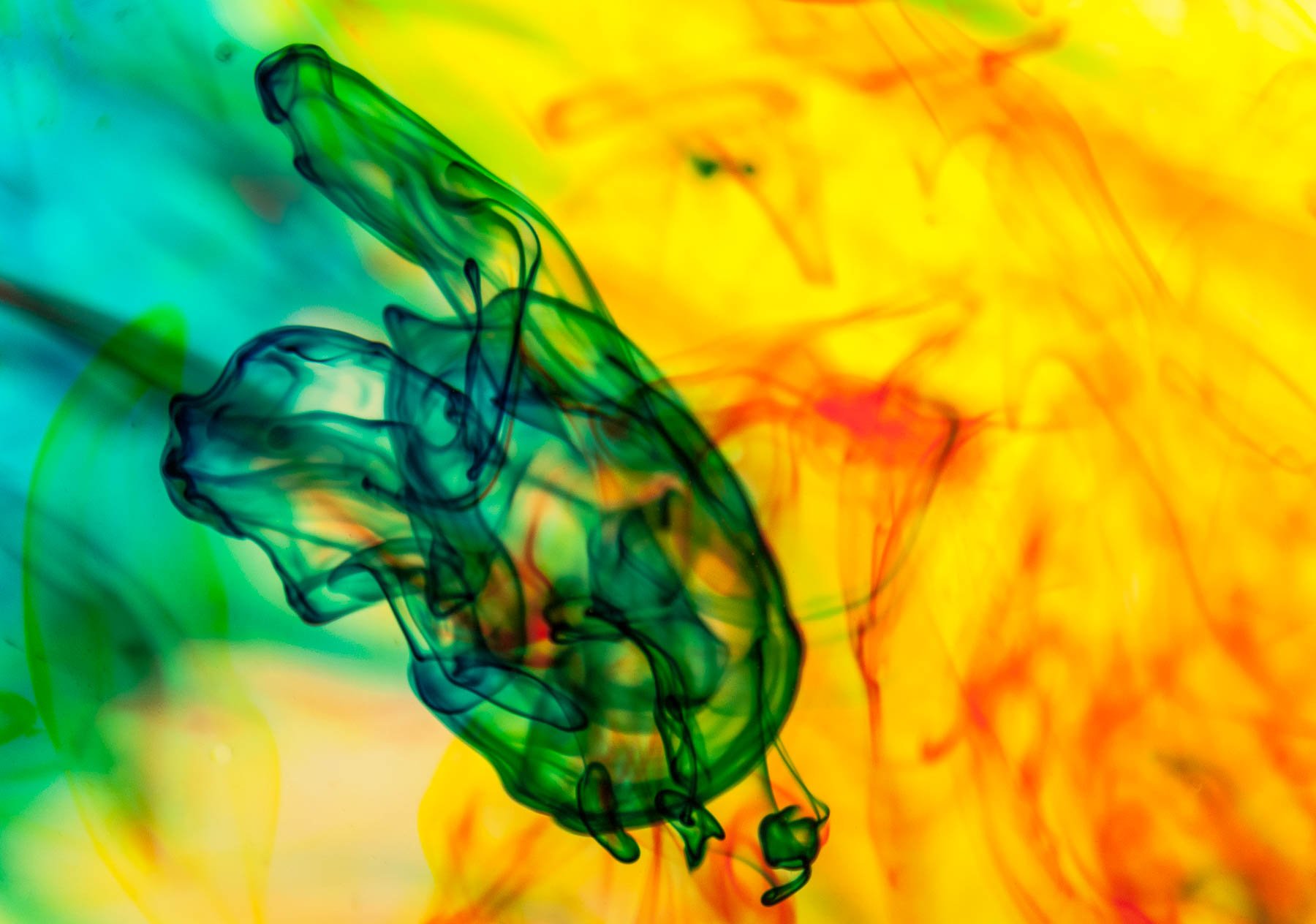 Food color drops in water pitcher captured by Raj Sarda Photography