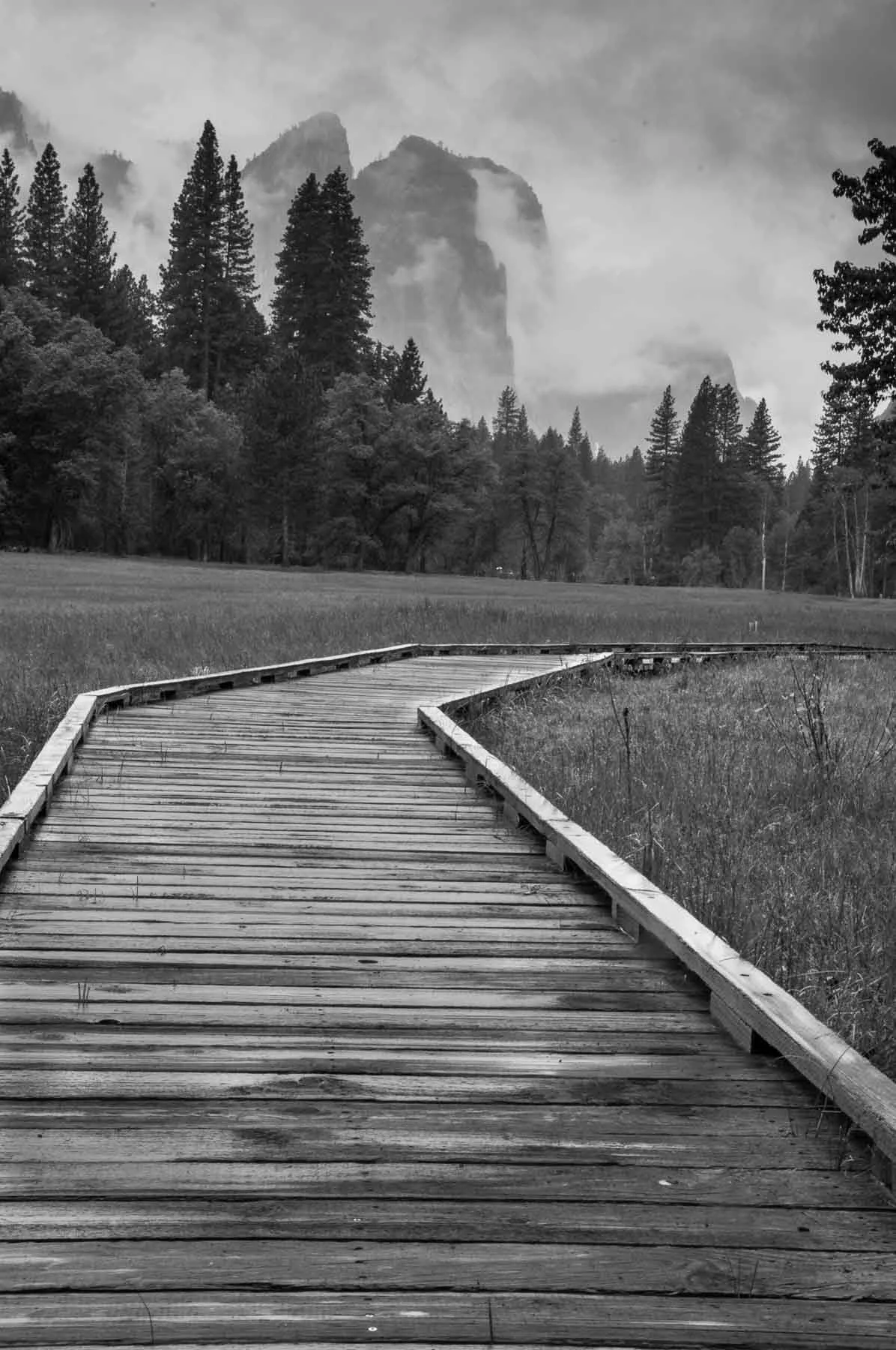 A walkway in the meadow at Yosemite captured by Raj Sarda Photography