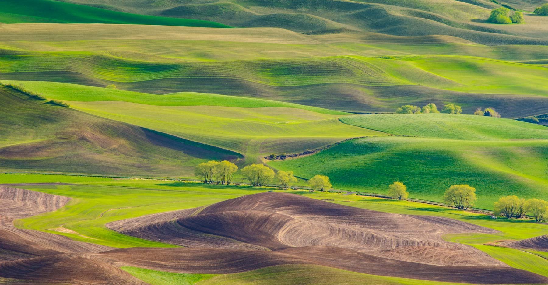 Undulating fields in Palouse captured by Raj Sarda Photography