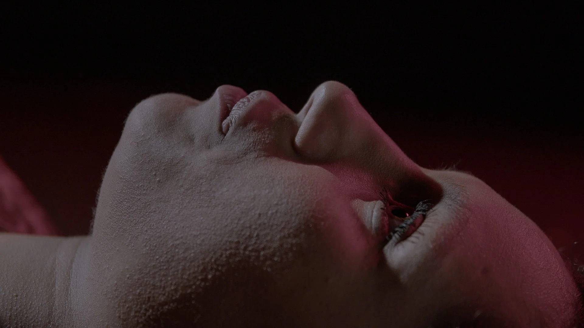 EUPHORIA_STILLS-06.jpg