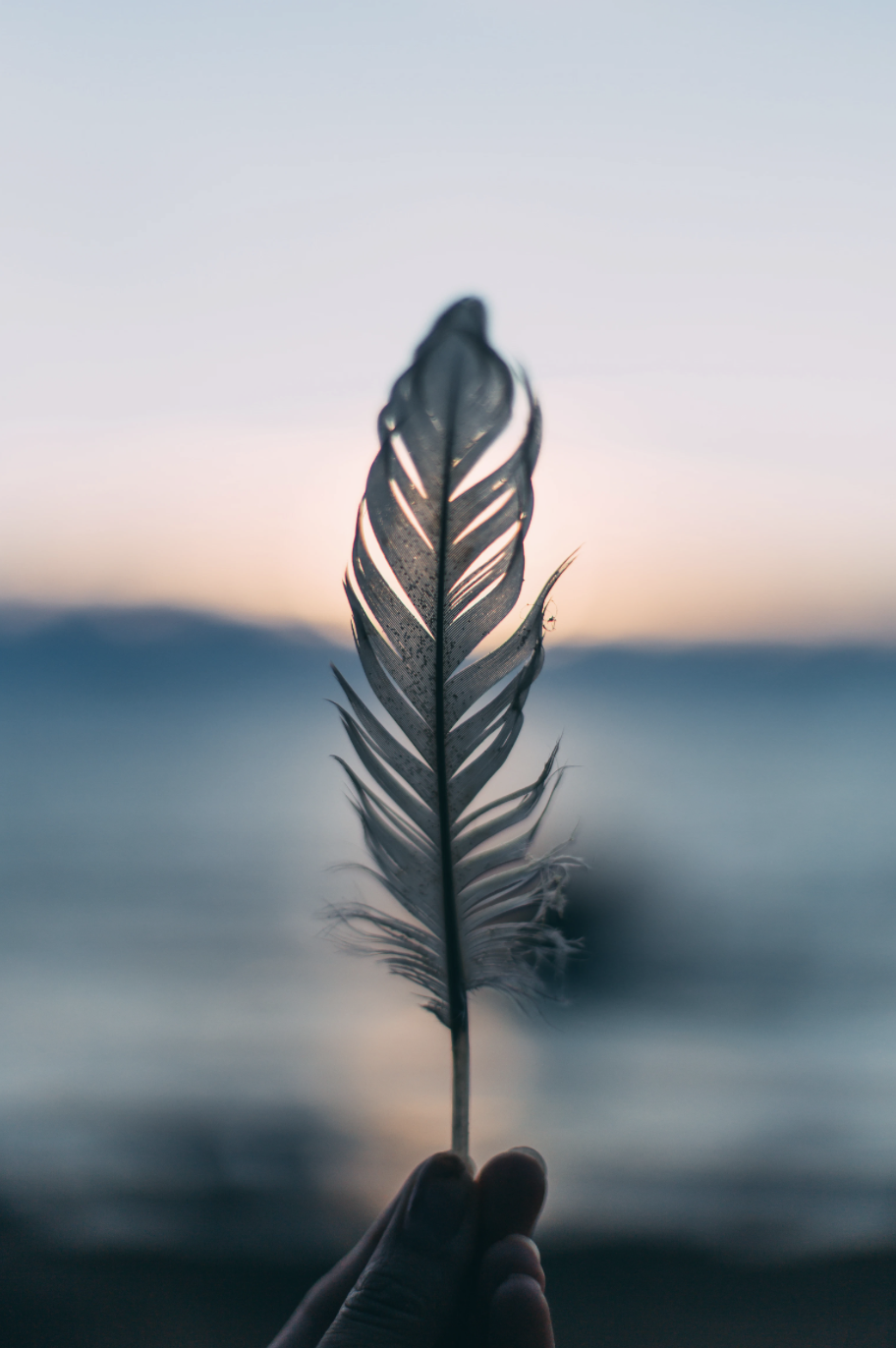 Hand holding a feather with a sunset and ocean in the background.