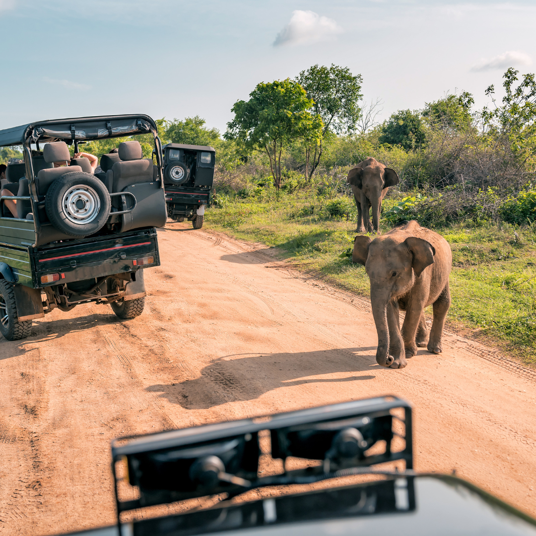 Romantische huwelijksreis safari in Tanzania