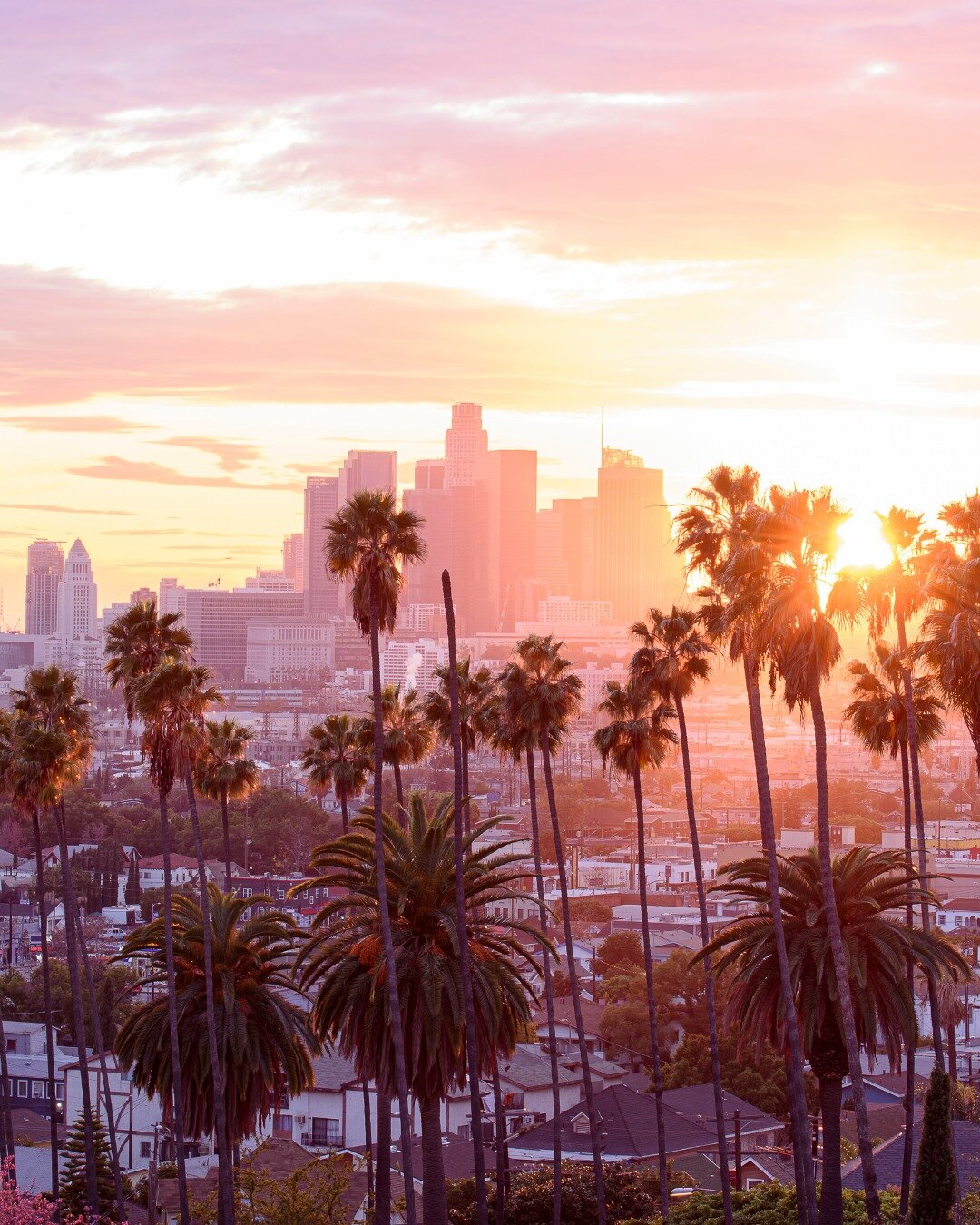 Van zonsopgang bij Griffith Observatory tot zonsondergang op Venice Beach 🌅✨ Los Angeles, een plek van eindeloze ontdekkingen. 

Klim naar het Hollywood Sign voor die onmisbare LA-selfie 🌟, verlies jezelf in de kleurrijke chaos van Venice Beach 🏄&