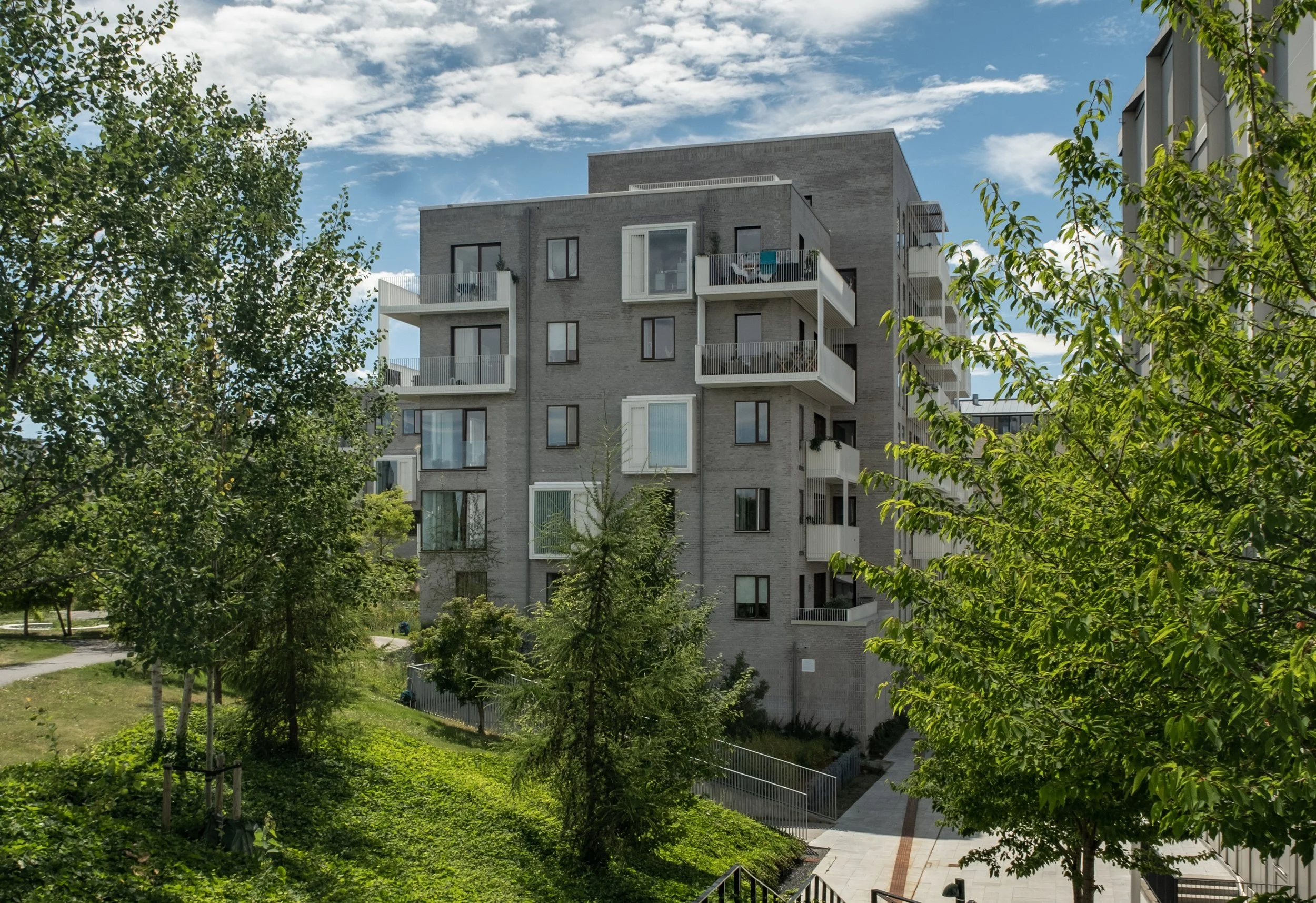 Livas have fotografi