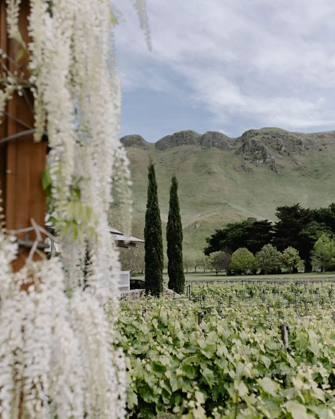 DETAILS for the divine Kelly &amp; Simon at @craggyrange ❣️

The Cape Cod / 14 x 20m Sperry Tent , hardwood flooring, lighting, bars, v big hanging hoop, tables and chairs by us&nbsp;✨ 

K &amp; S had a fab team of vendors to bring their day together