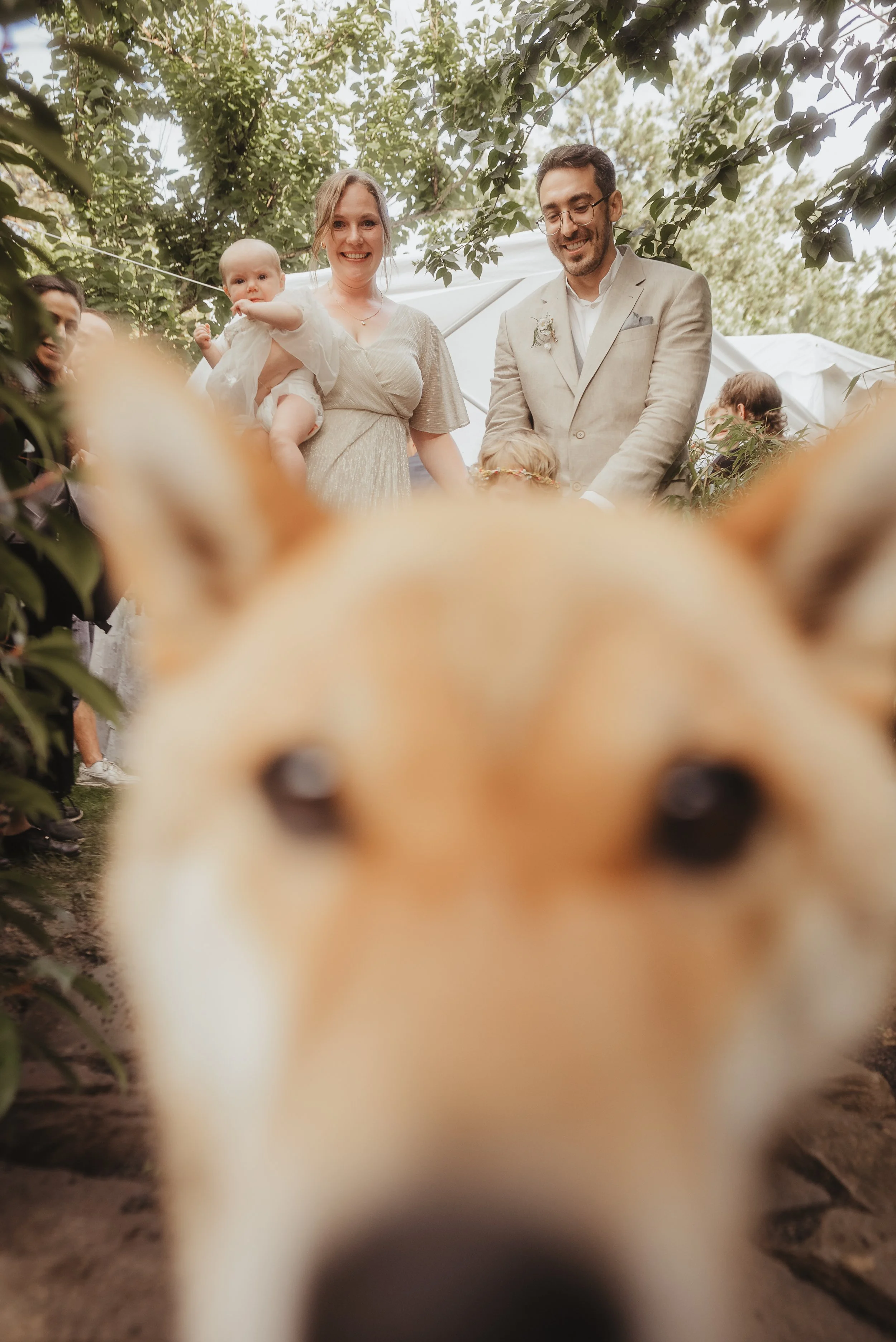 Hochzeitsfotografie Bonn, Hochzeitsfotografie köln