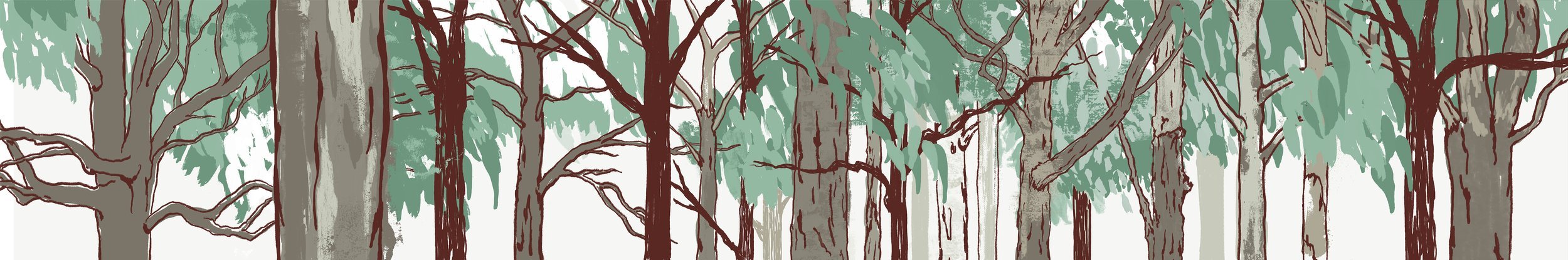 eucalyptus_forest.jpg