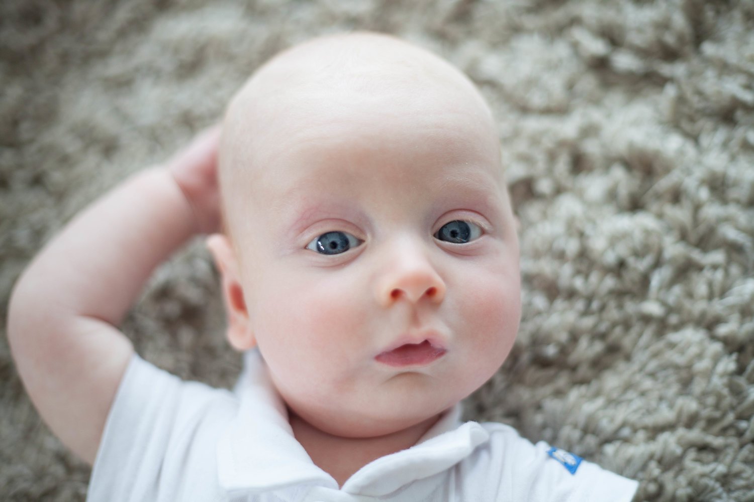 Newborn Photography Sessions
