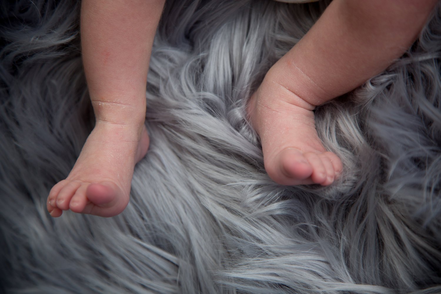 A person's hands gently pressing on a large, fluffy, gray and white fur surface.