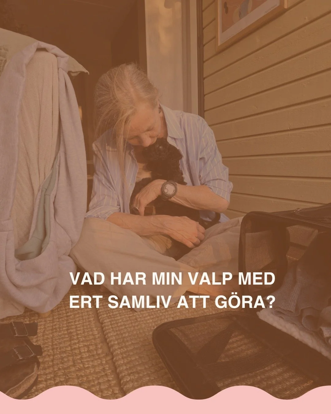 L&aring;t mig f&ouml;rklara.

Min valp Milton b&ouml;rjade pl&ouml;tsligt f&aring; &quot;utbrott&quot; p&aring; promenader. Fr&aring;n gullig valp till galen varg som morrade och ville bita mig i benet (!) &ndash; helt okontaktbar.

F&ouml;rst f&ouml