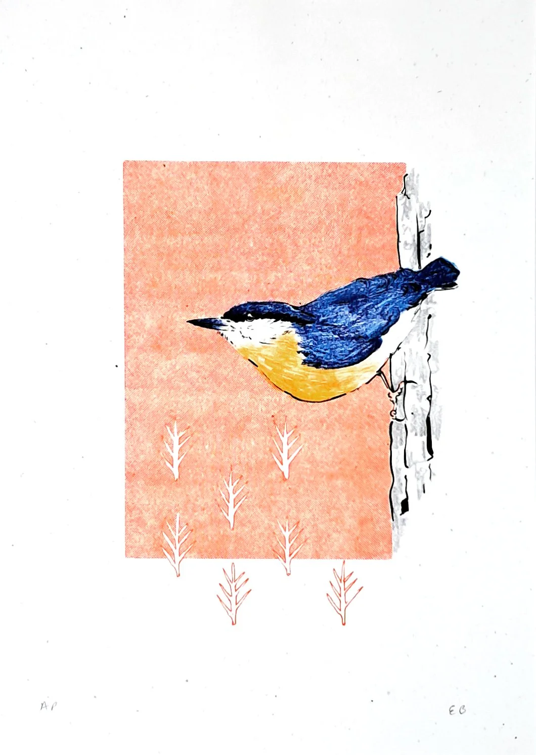 Silly Gooze Editions Store 2024-Nuthatch4.jpg