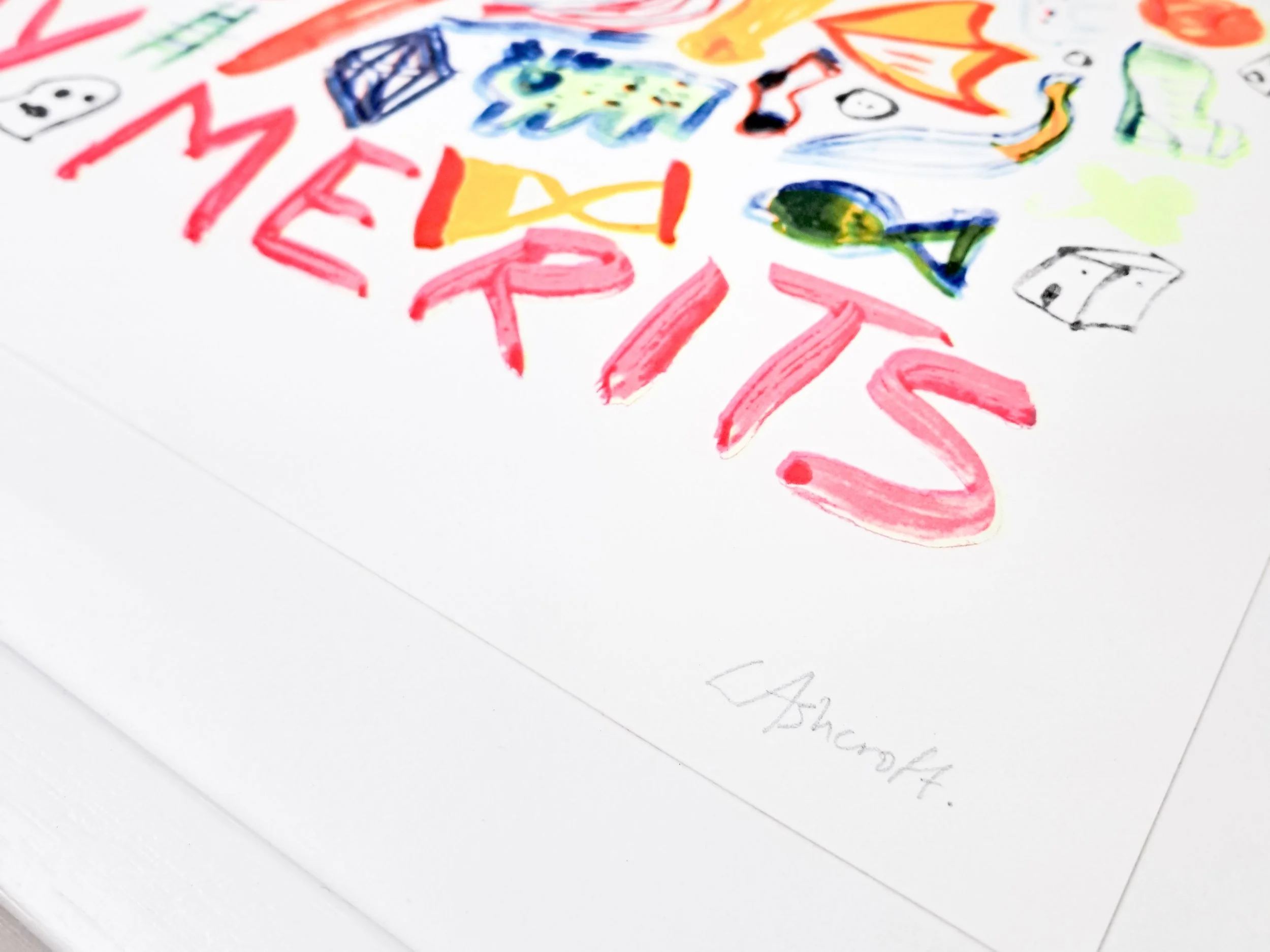 Silly Gooze Editions Store 2024-Merits3.jpg