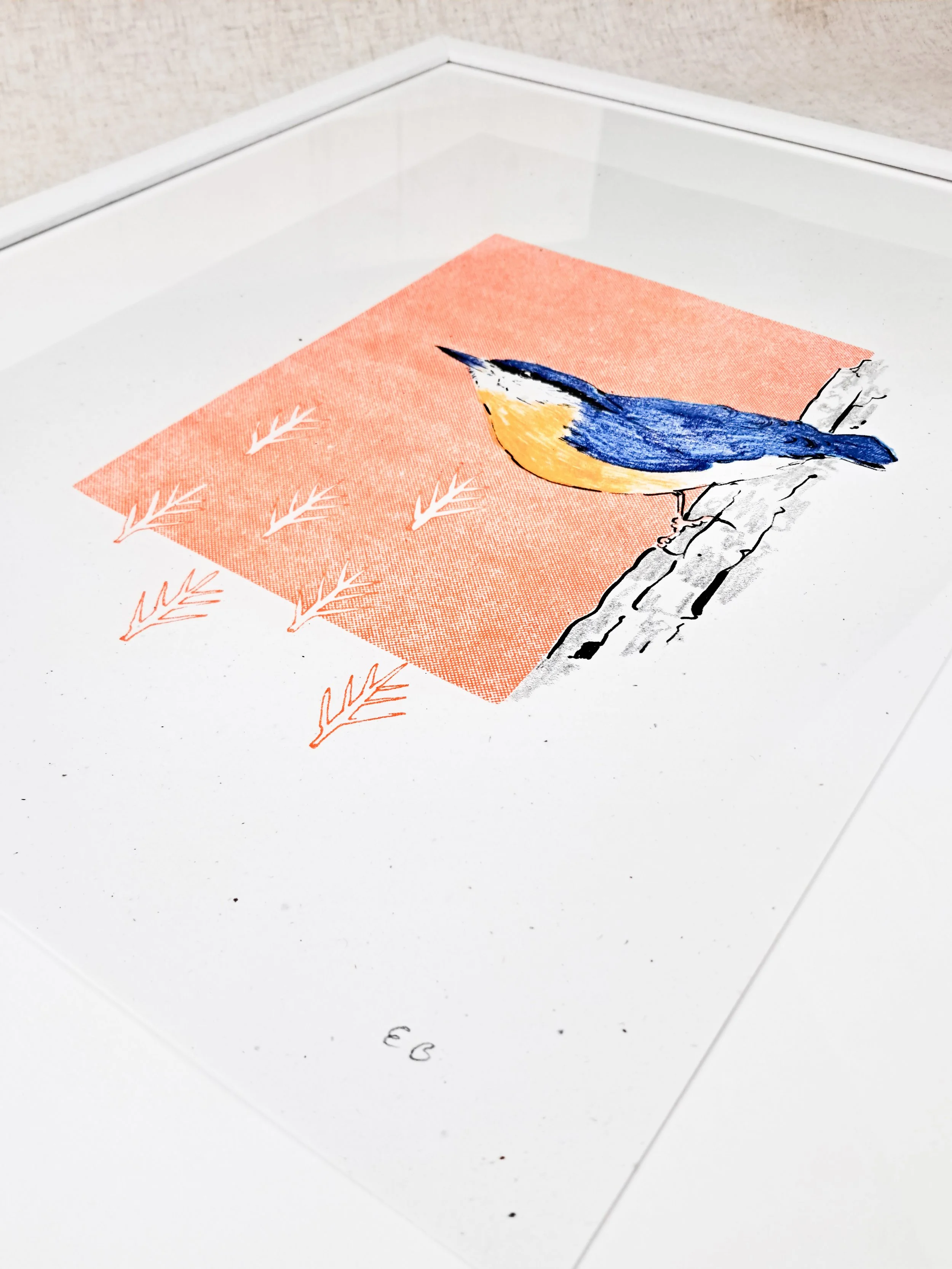 Silly Gooze Editions Store 2024-Nuthatch2.jpg