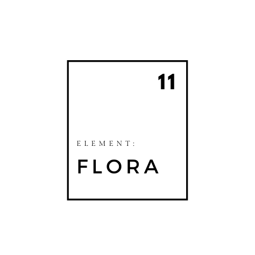 flora.png