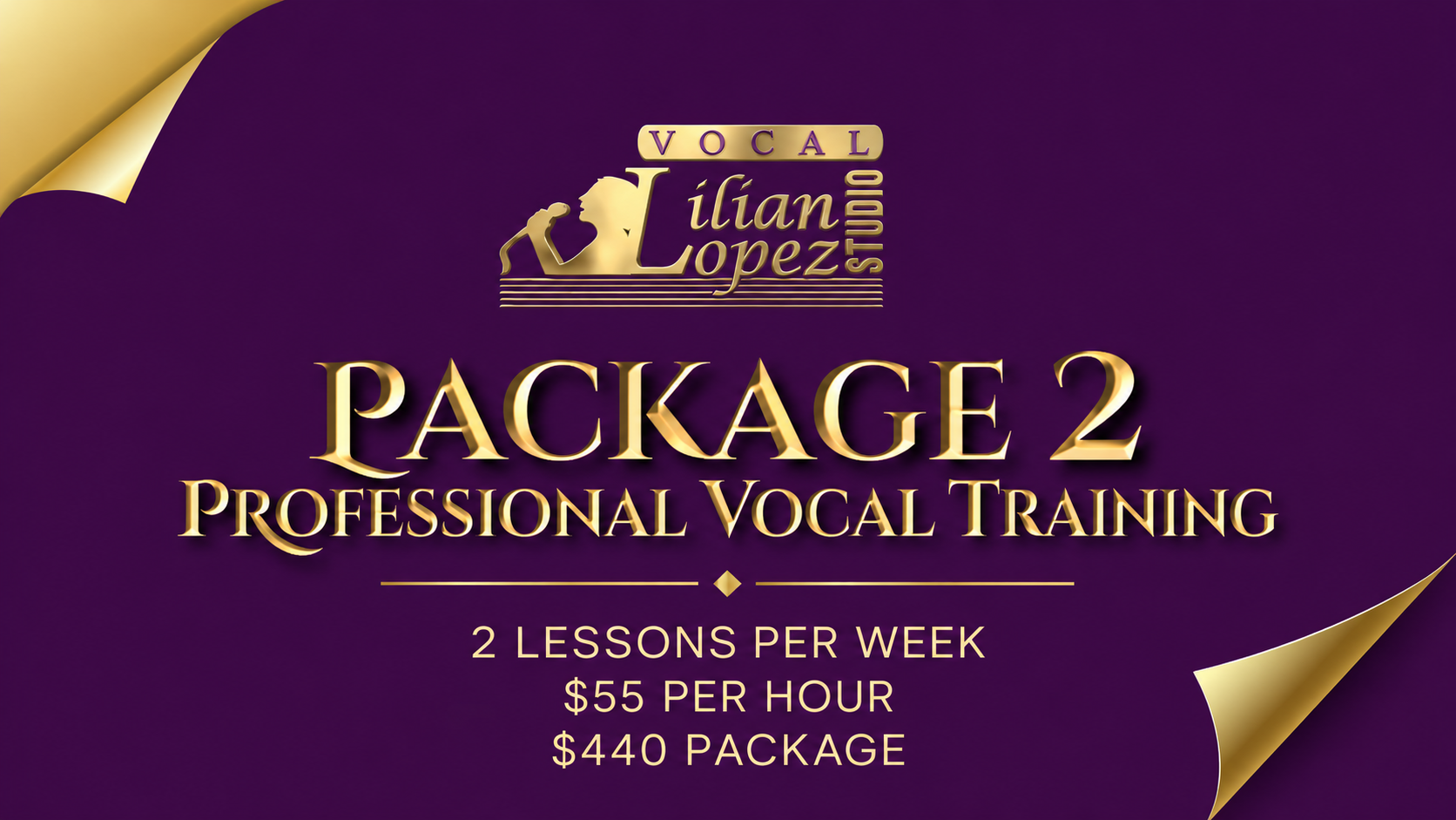 🎓 PACKAGE 2 — PROFESSIONAL VOCAL TRAINING
