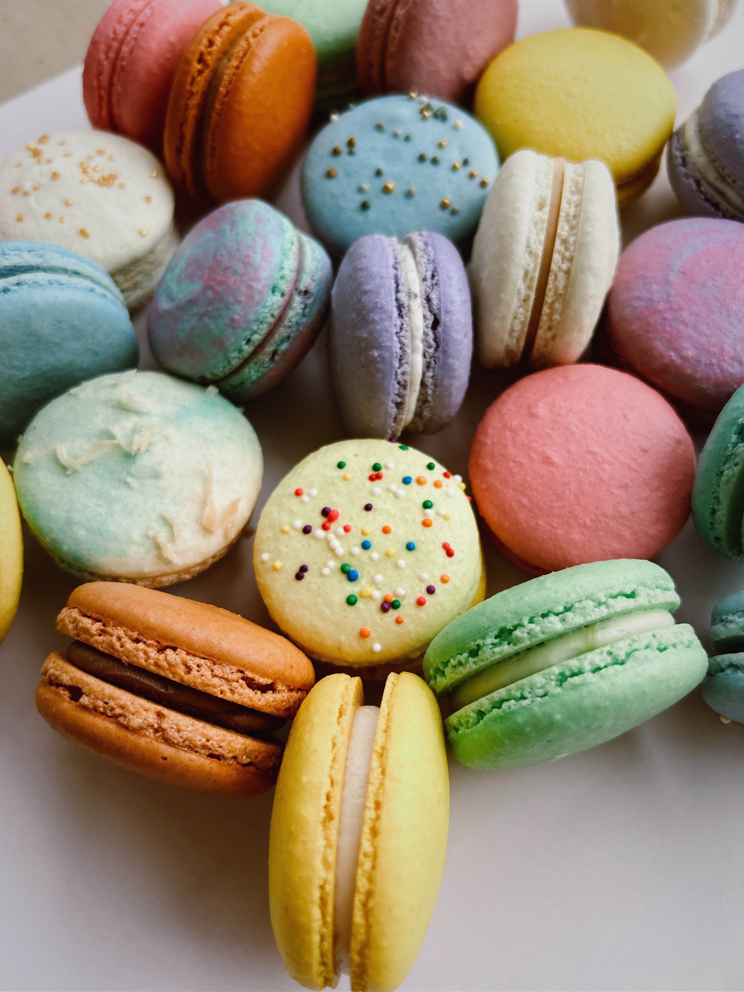 Close up of freshly baked macarons secured in protective shipping box