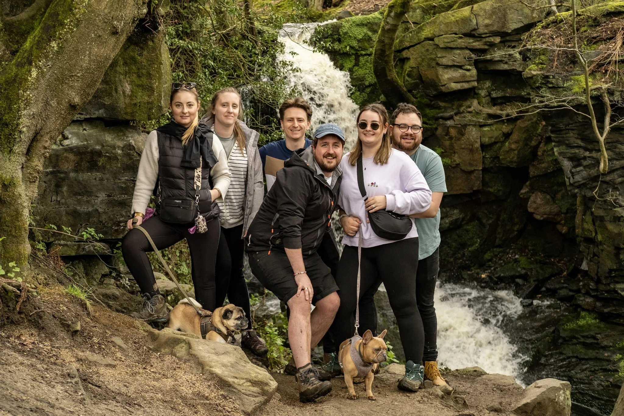 Group of six people and two dogs posing near a waterfall in a forest.