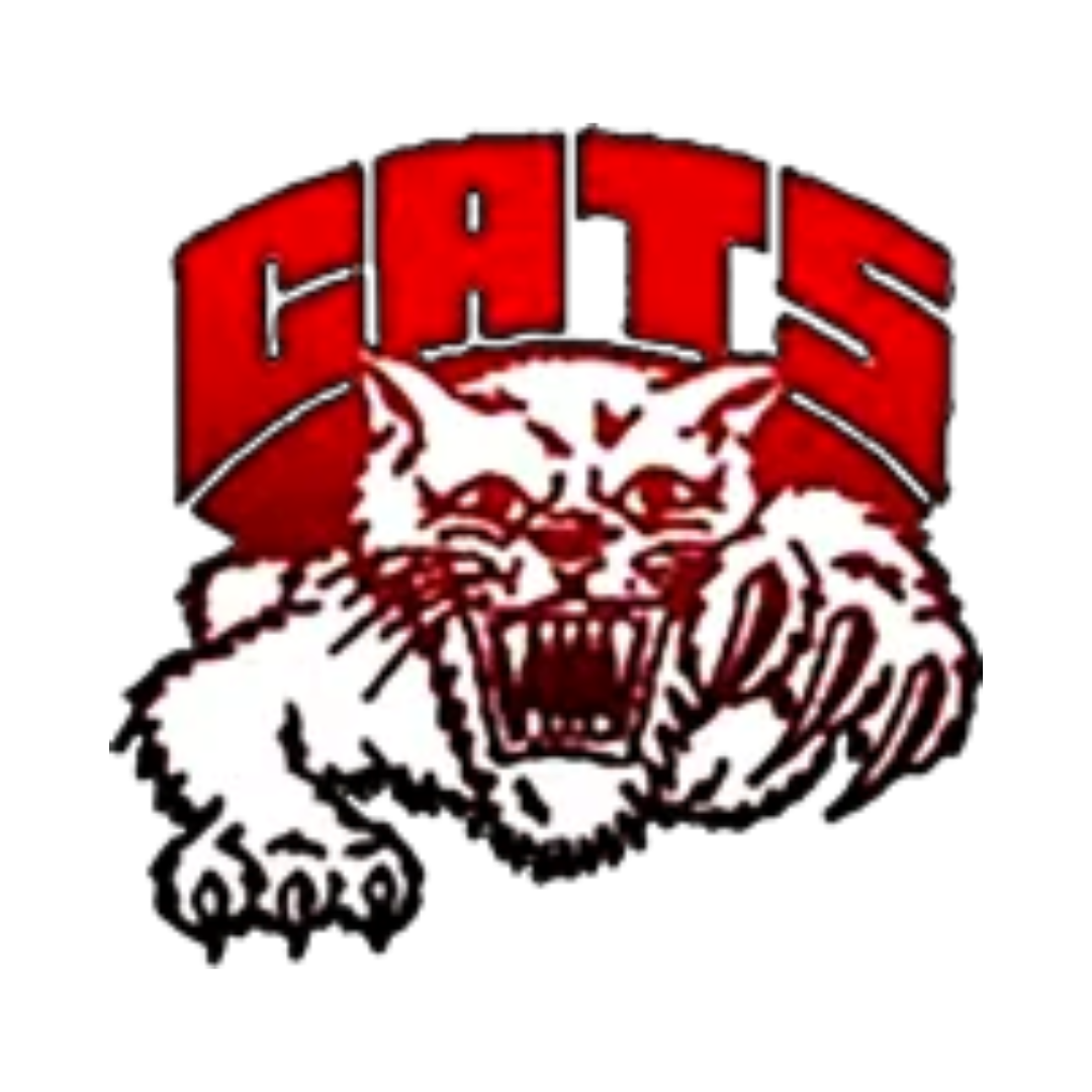 Struthers City