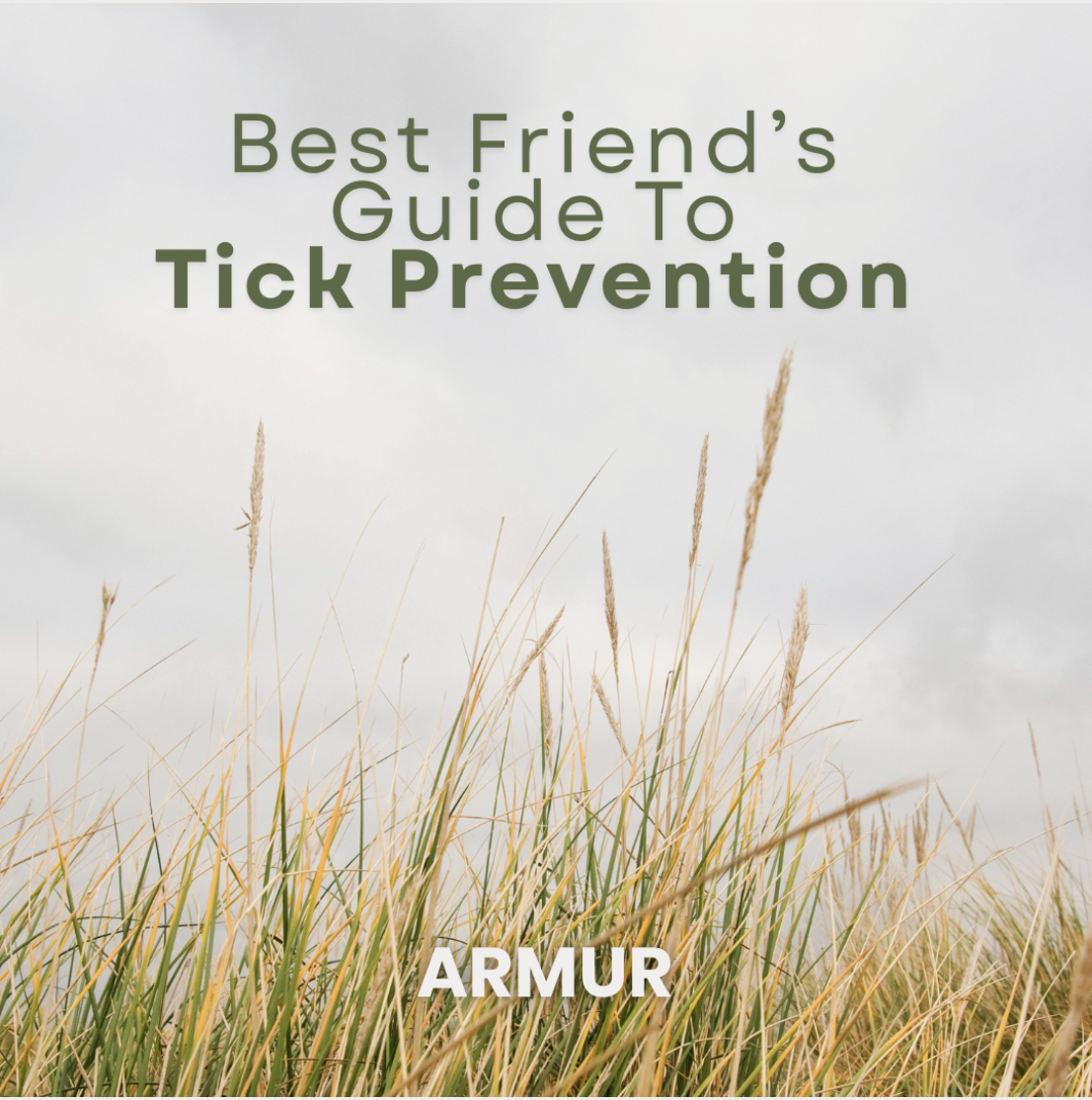 Best Friend's Guide To Tick Prevention