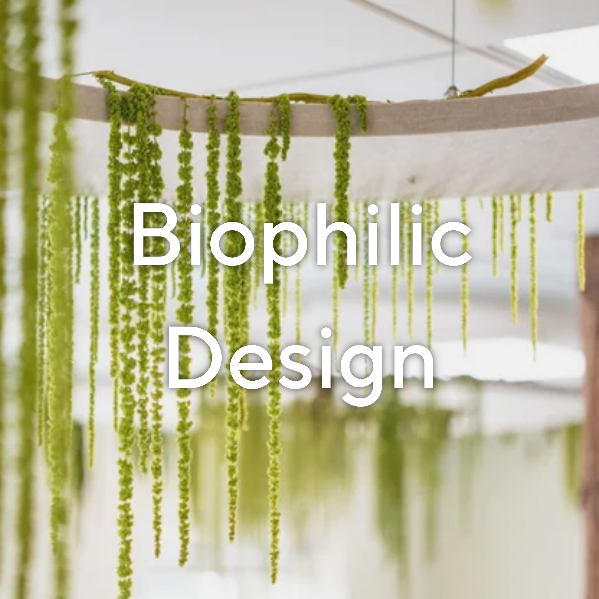 Acoustic solutions inspired by nature, blending organic forms and materials for healthier spaces.