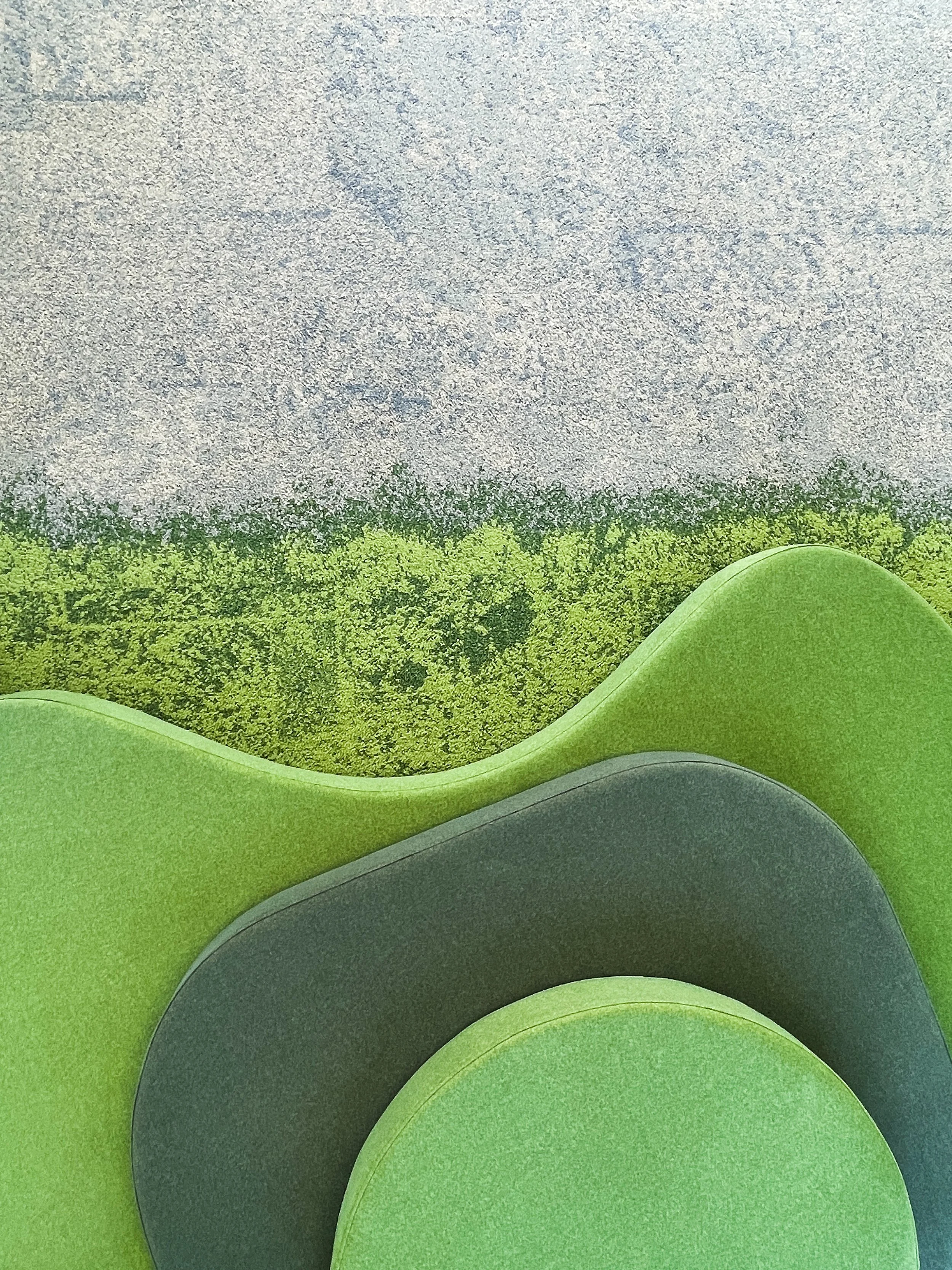 Acoustics Enhancing Learning Environments: Biophilic Design Principles ...