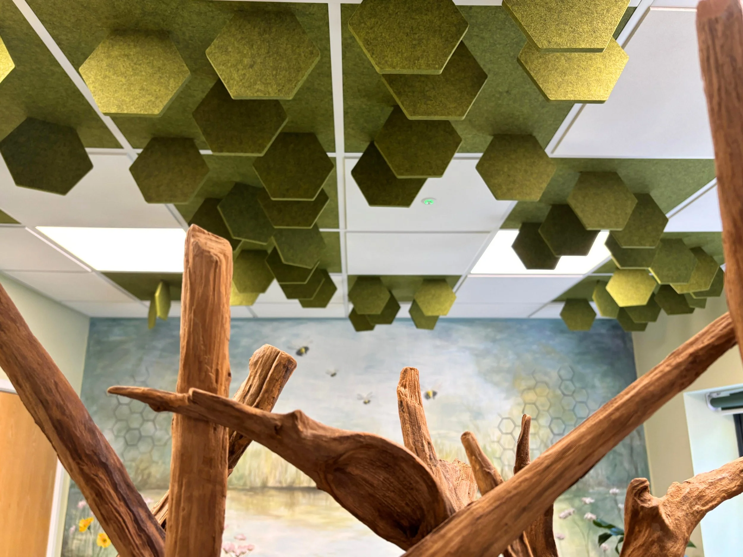 acouspace_SEN Room_The Kings School (11).jpg