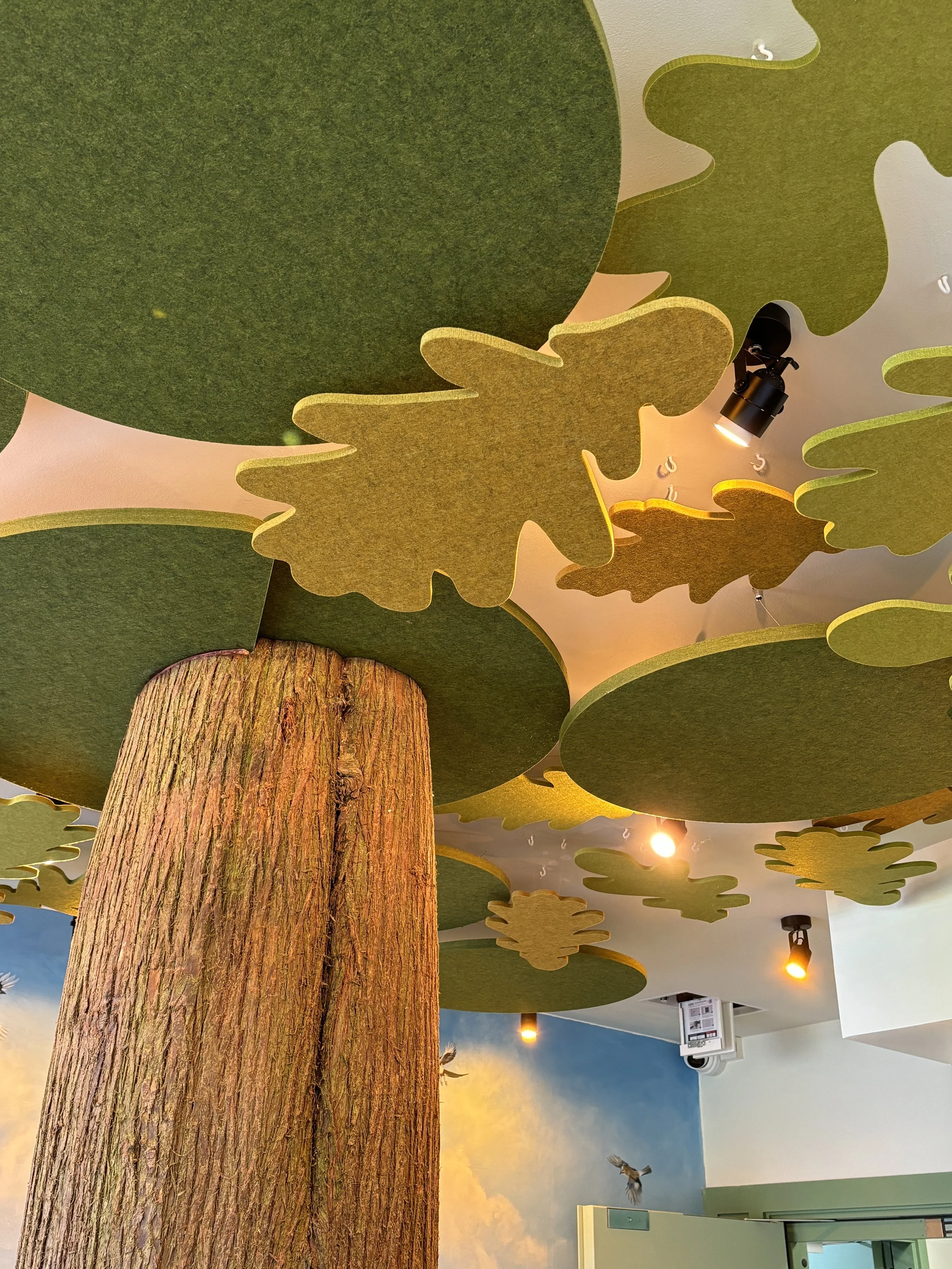 www_acou_space  acoustic tree (18).JPG